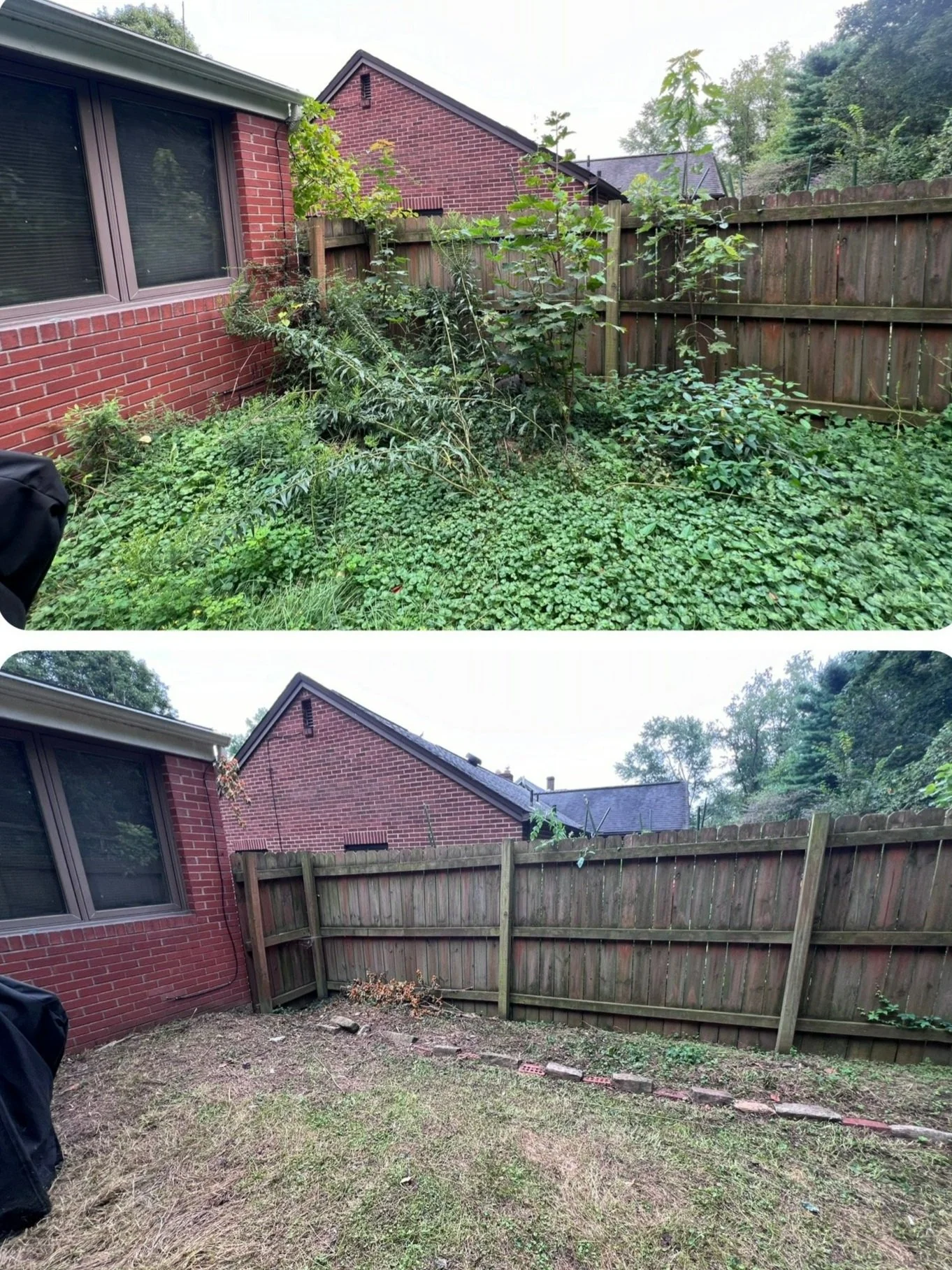 Yard Before and After.jpg