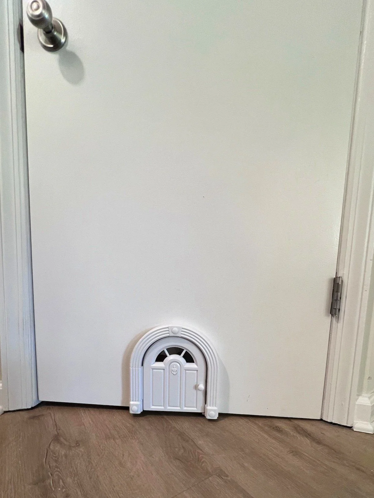 Cat door.jpg