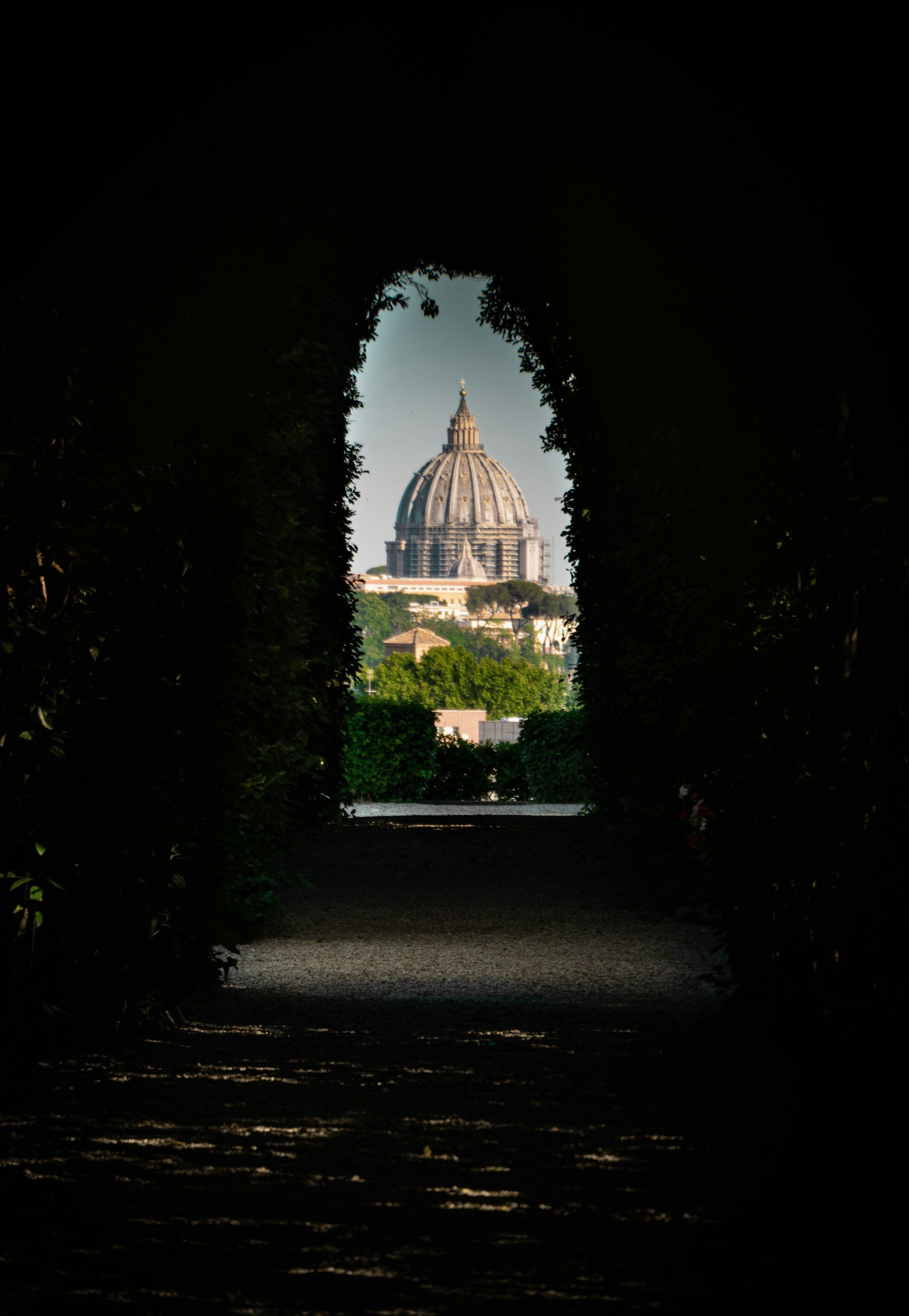 View of St. Peter's Basilica in Vatican City, seen through an archway framed by dark, leafy trees on either side.