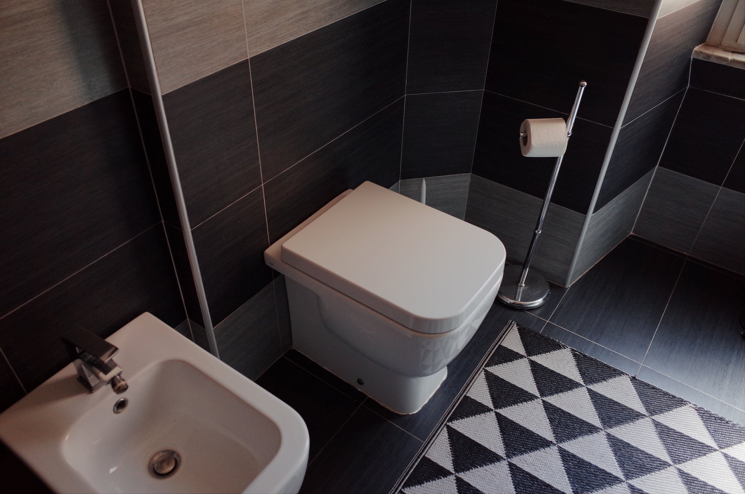A bathroom with black tiled walls and black floor tiles. There is a white toilet with a roll of toilet paper on a holder next to it, and part of a white bidet is visible in the lower left corner. A black and white patterned rug is on the floor near t