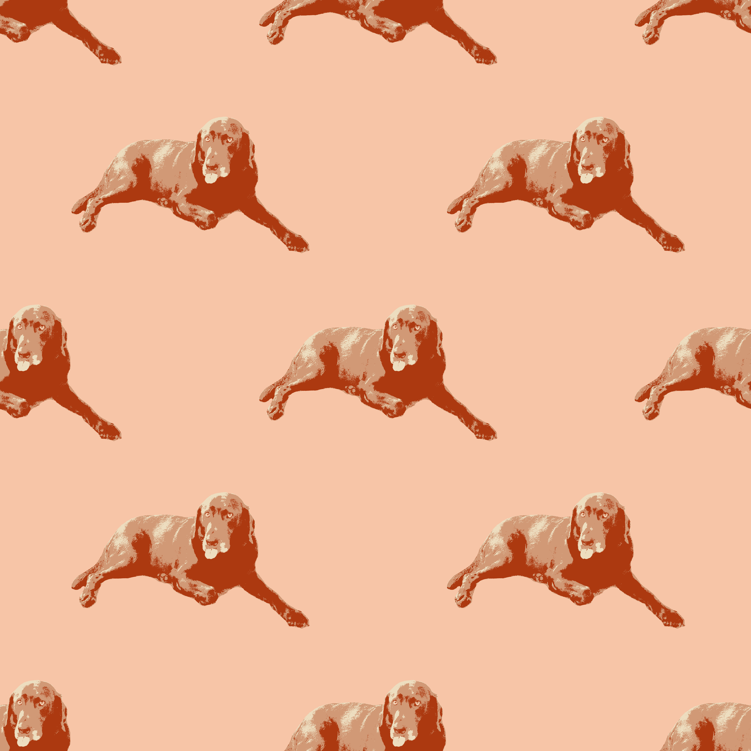 IMG_3836.PNG