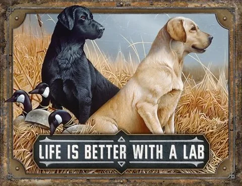 1235 - BETTER WITH A LAB TIN SIGN.jpg