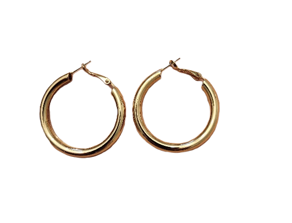 Z7815 - GOLD TONE HOOPS.png