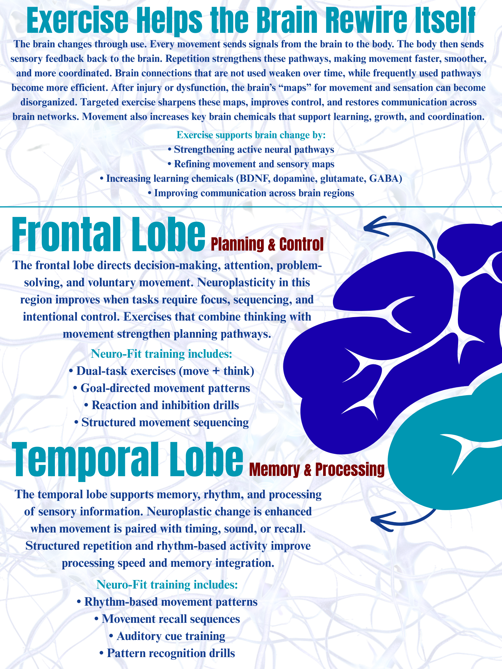 Neurobalance Exercise Examples Overview — Supportive Living Inc.