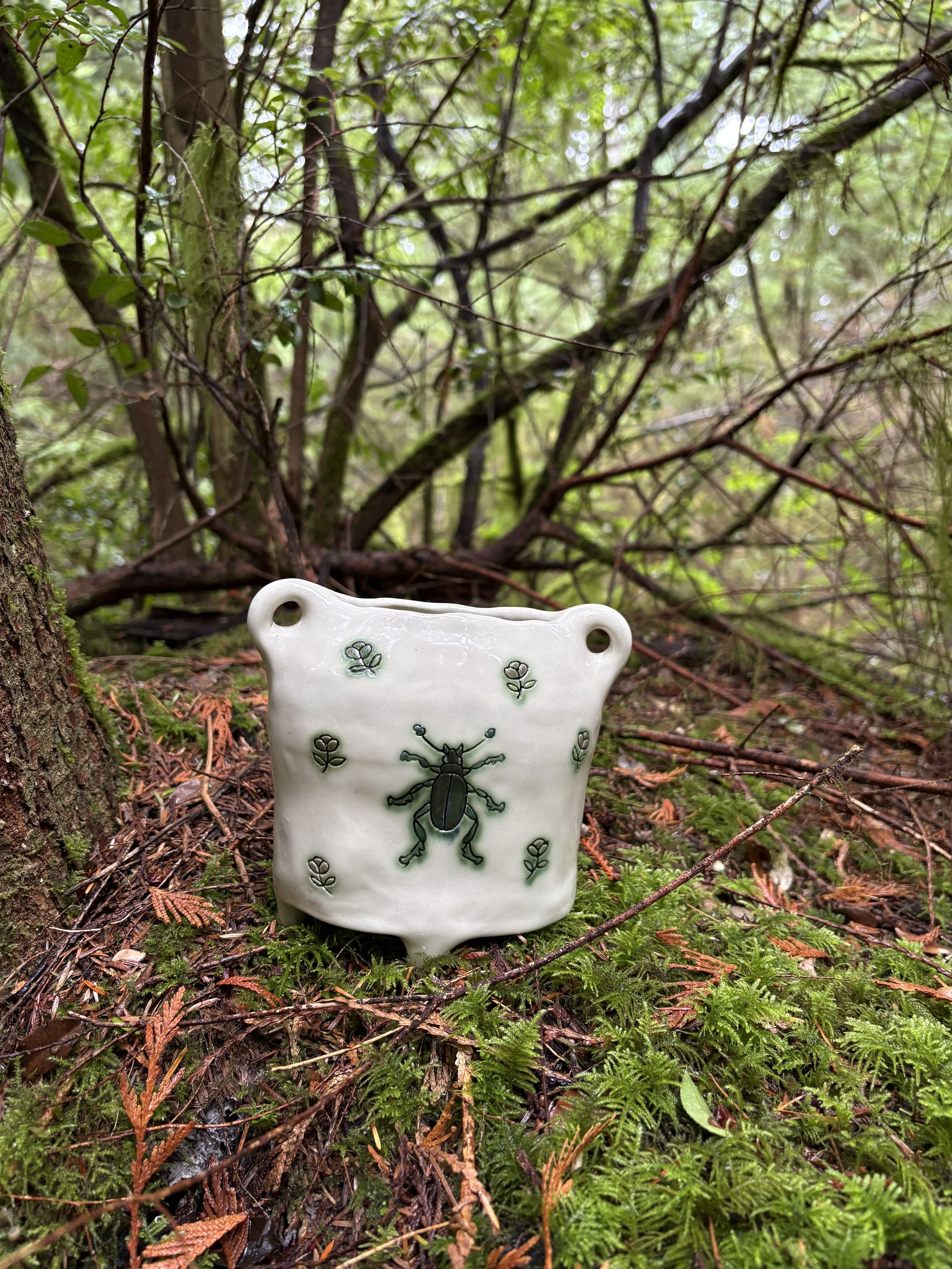 Beetle Vessel