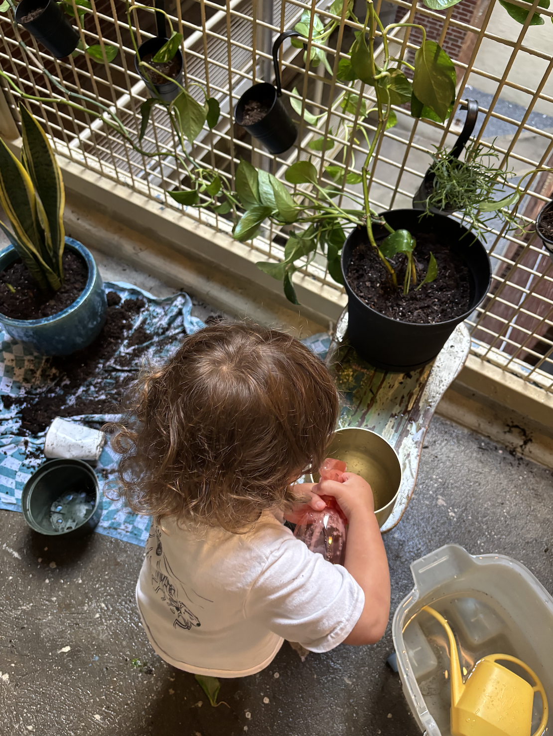Plant repotting with my daughter