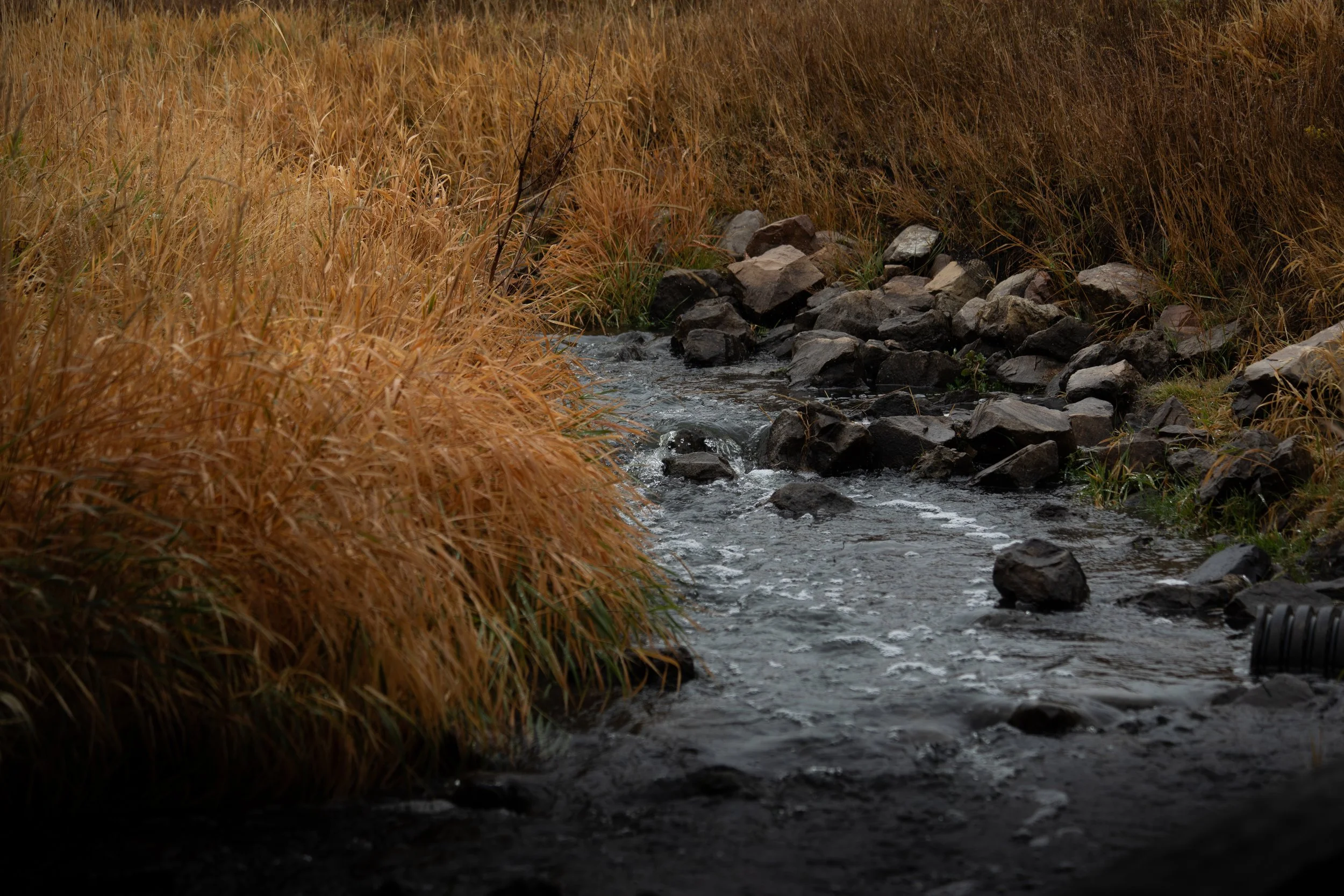 Basin Recreation
