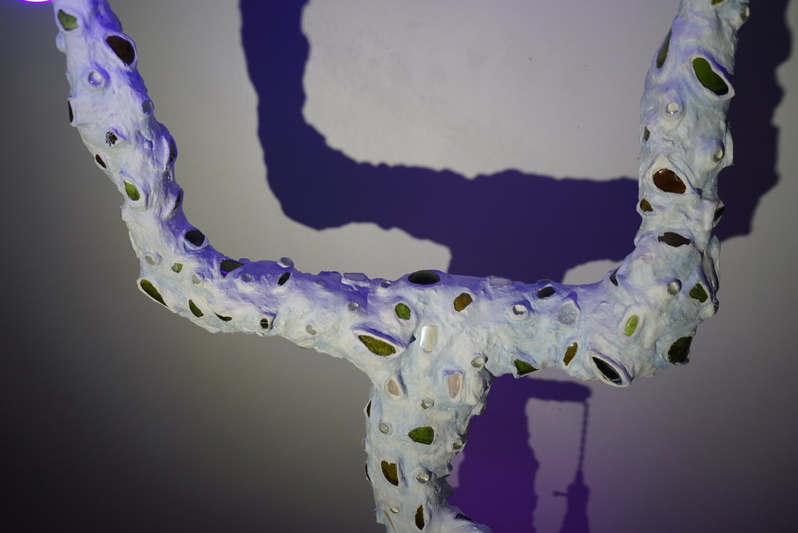 _DSC7057.jpeg