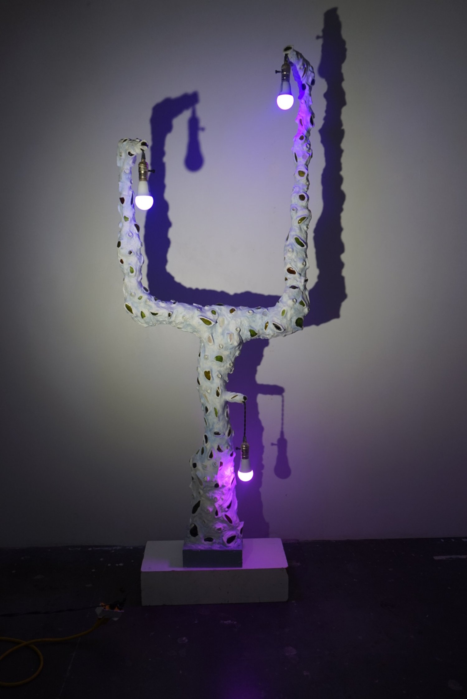 _DSC7042.jpeg