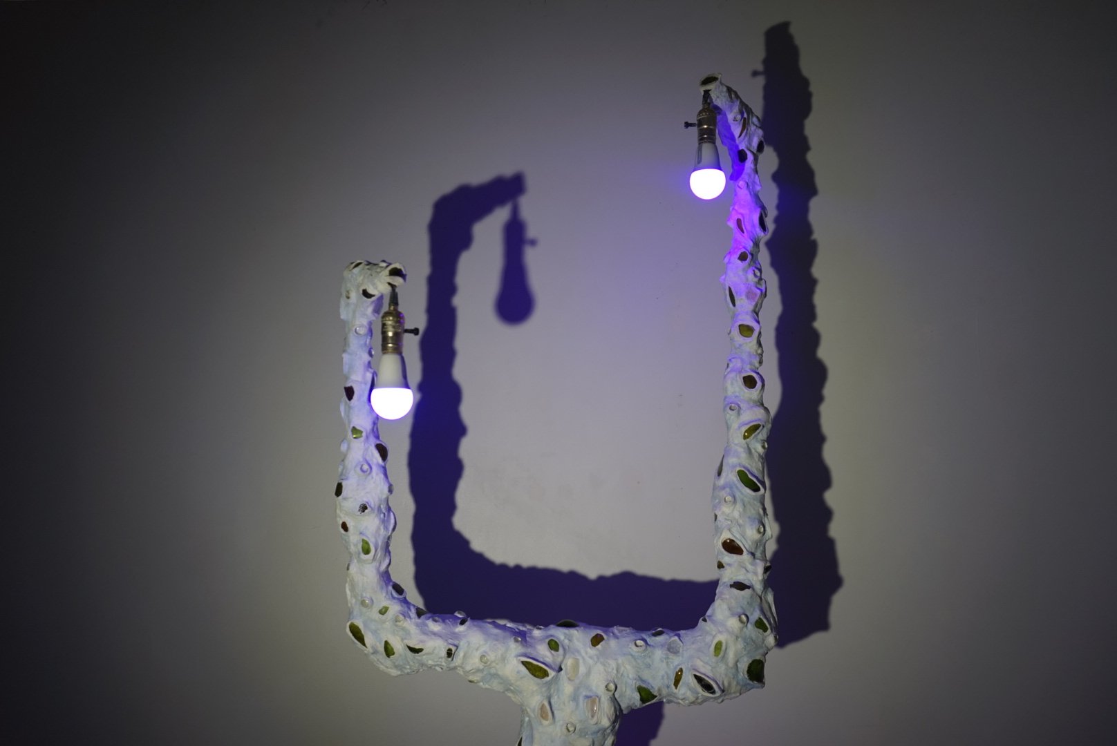 _DSC7054.jpeg