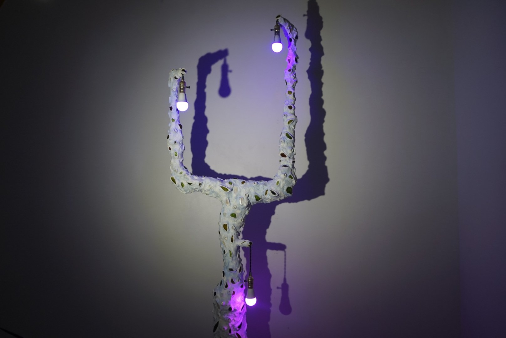 _DSC7052.jpeg