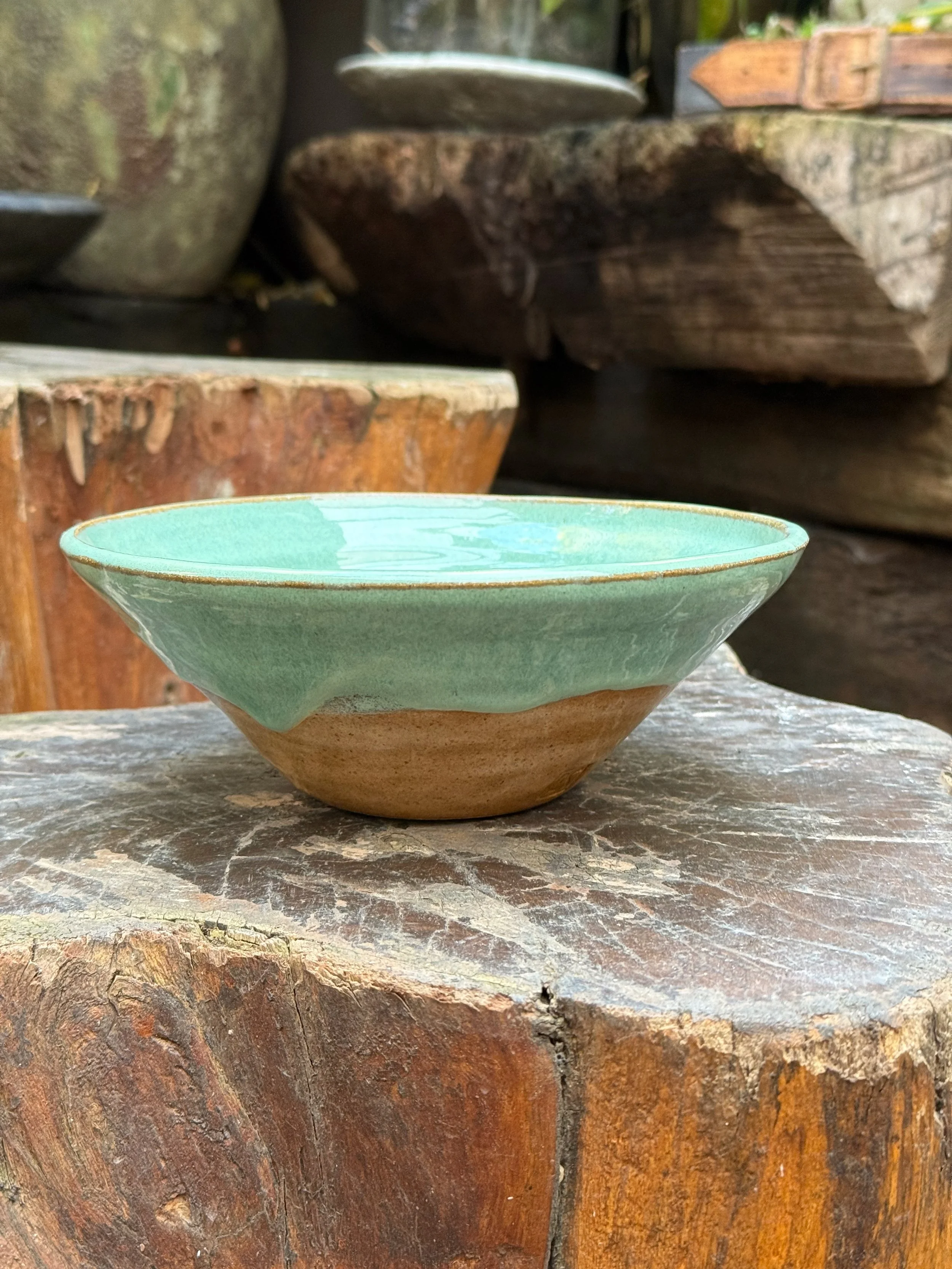 Unique Tropical Breach Bowl1.jpeg