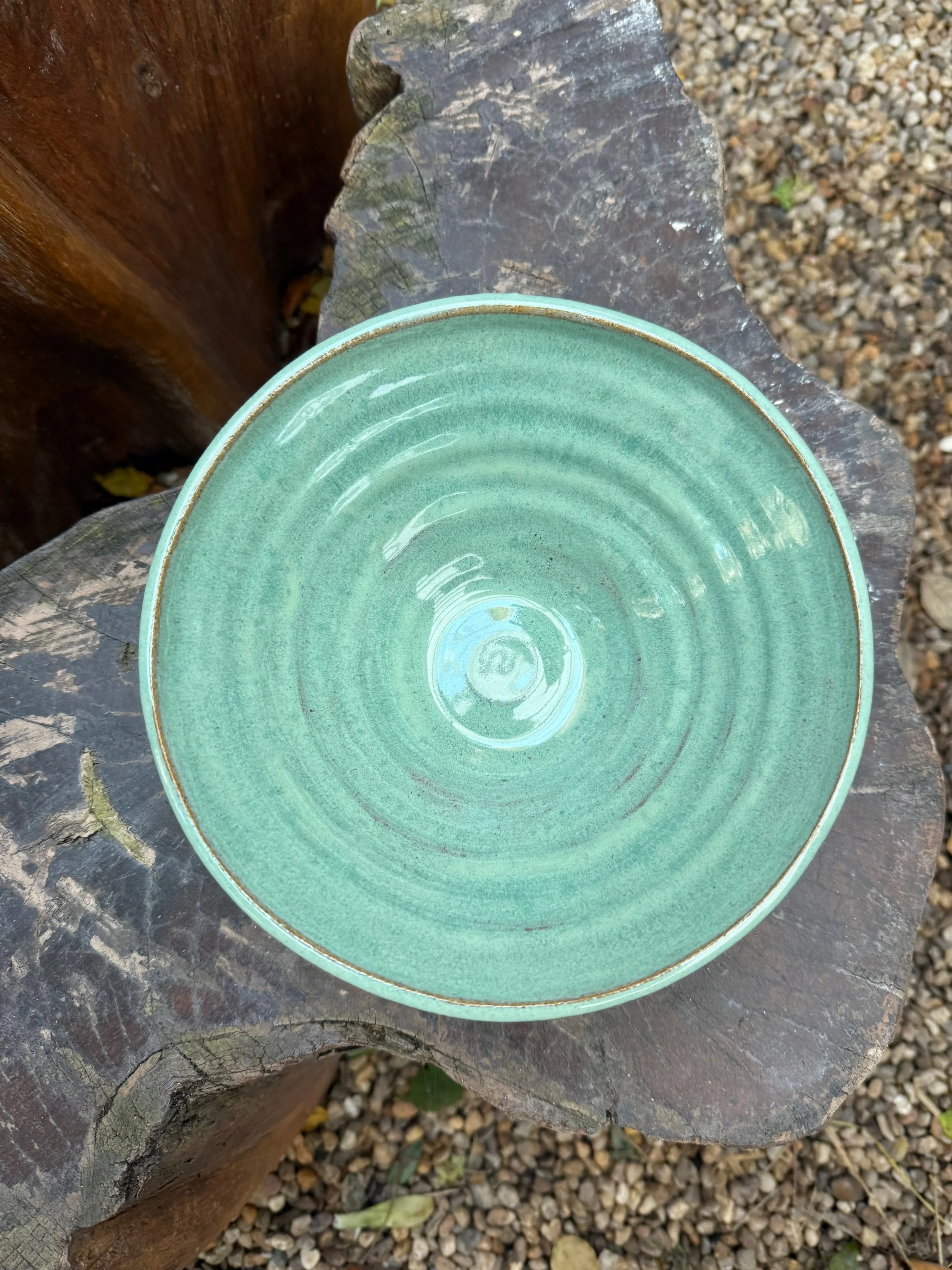 Unique Tropical Breach Bowl4.jpeg