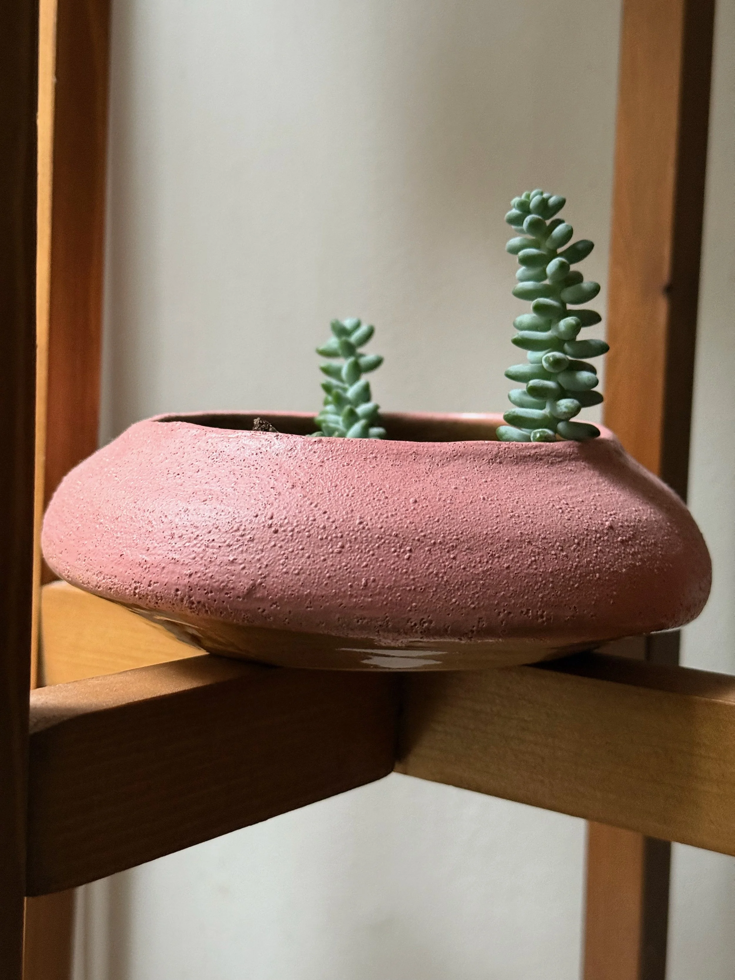 Pale Pink Succulent Planter.jpeg