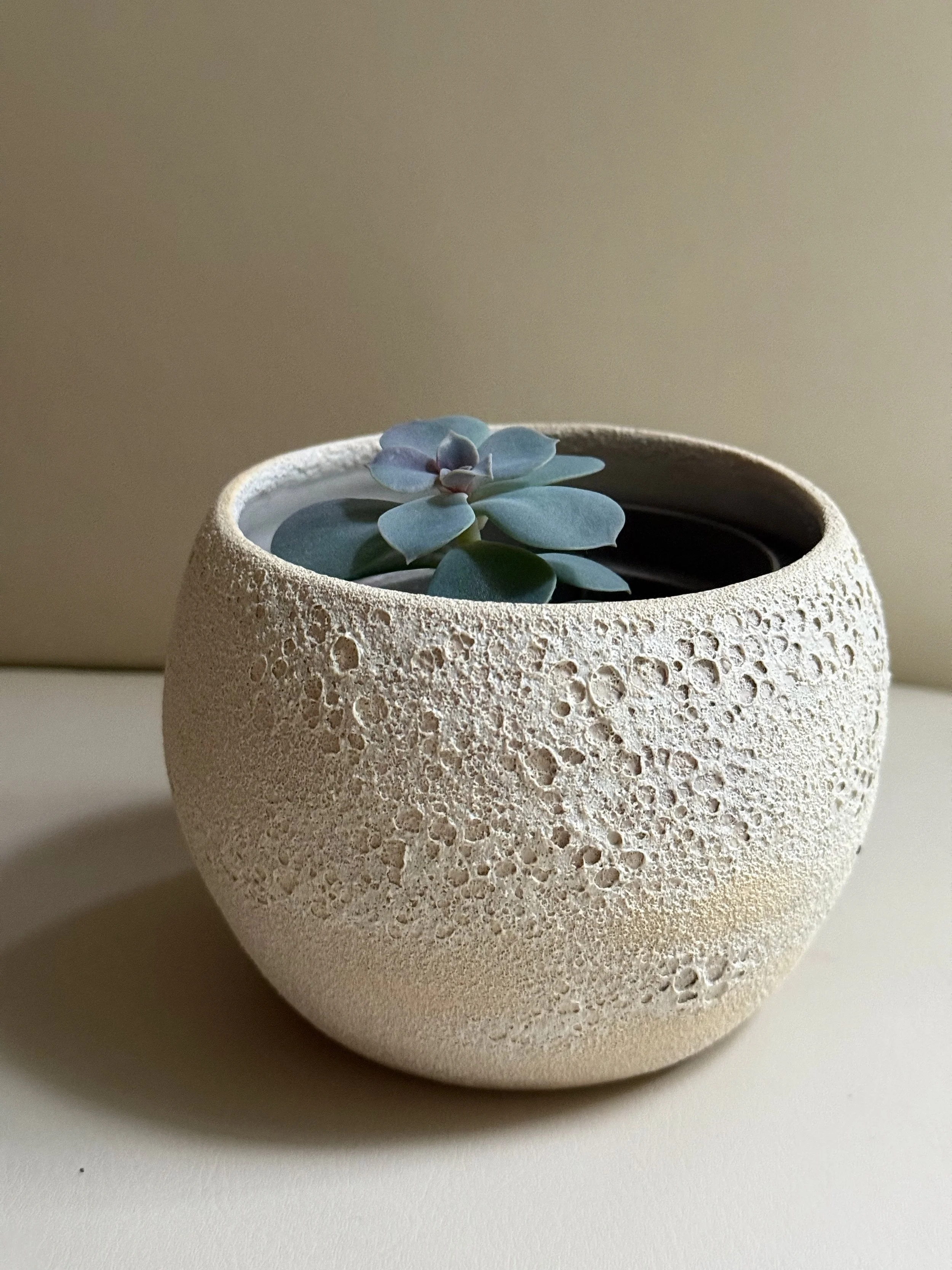 Textured Oasis Planter.jpeg