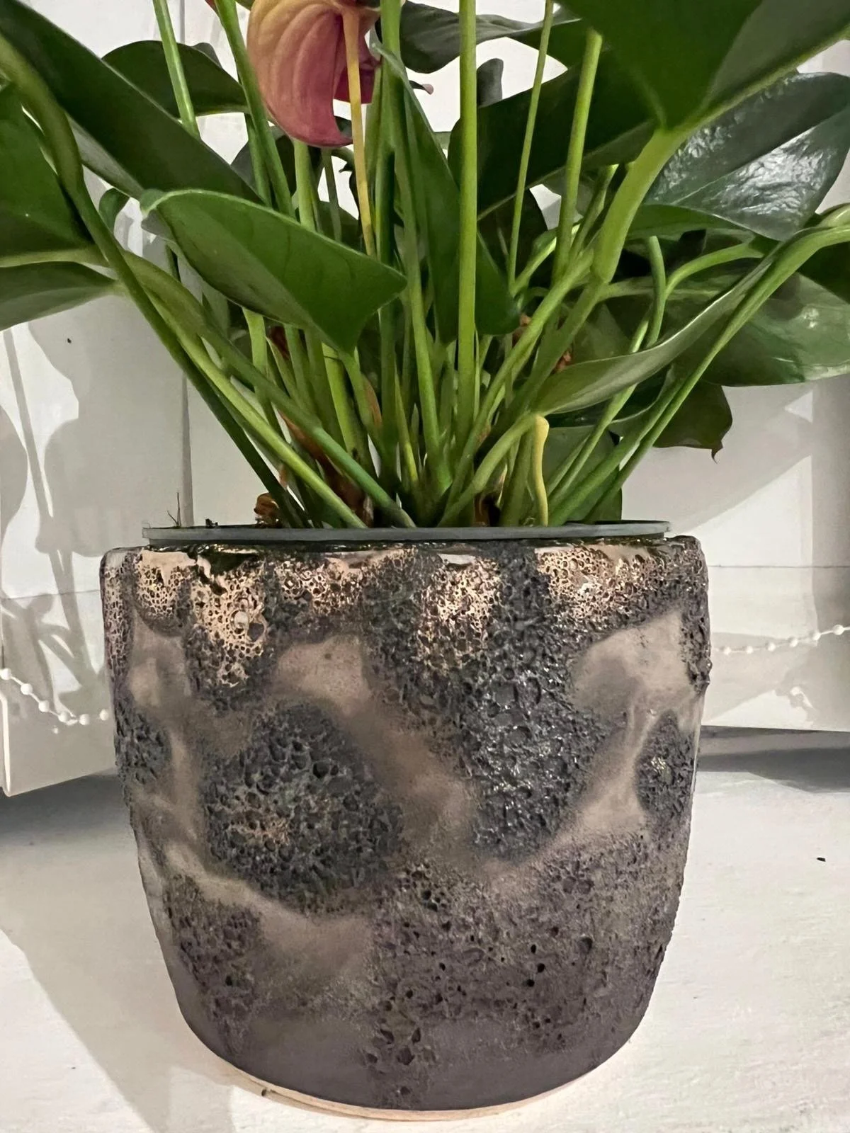 Deserted Moon Planter.jpeg