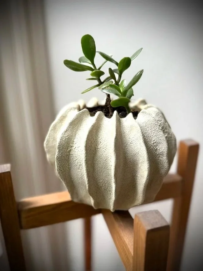 Textured handmade ceramic flower pot with exotic form. Perfect for succulents