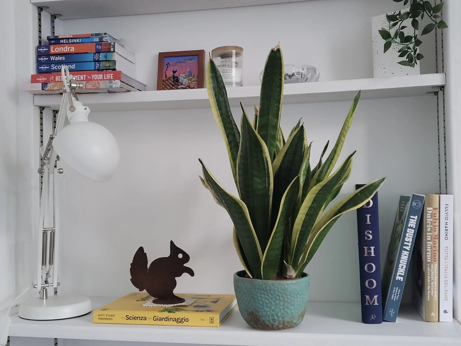 flower_pot_interior.jpg