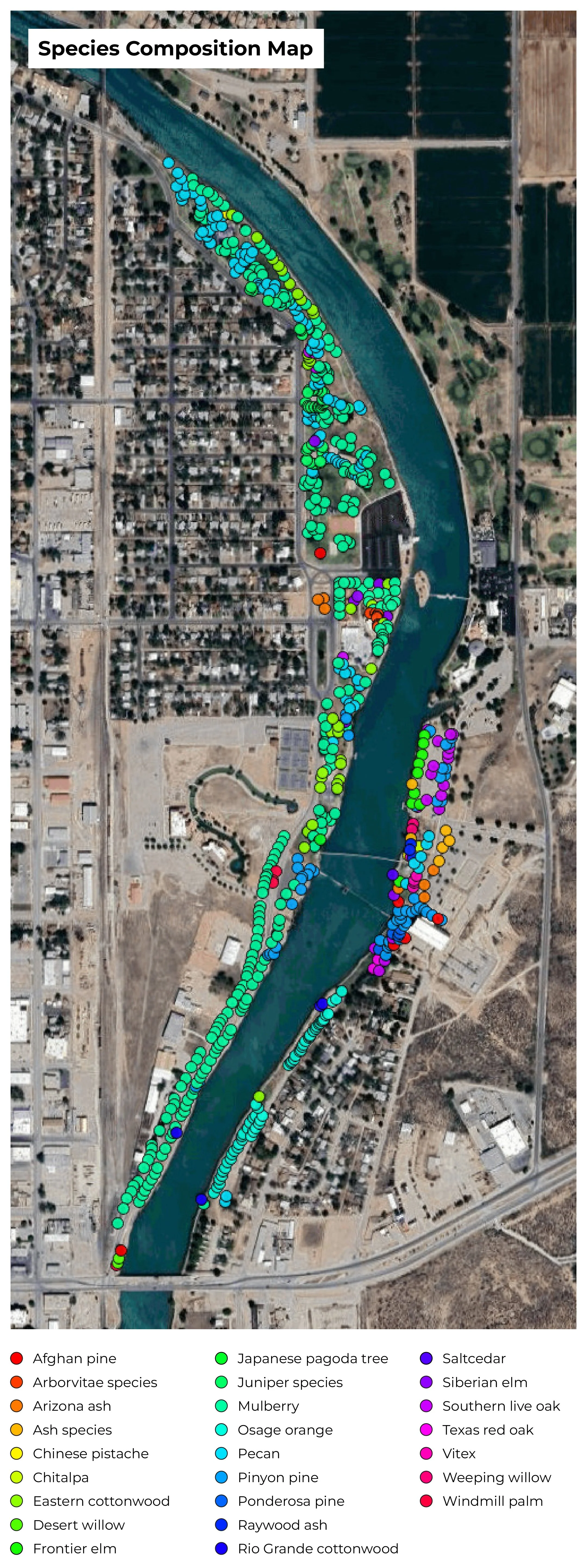 aerial image of species composition along the Carlsbad River Park