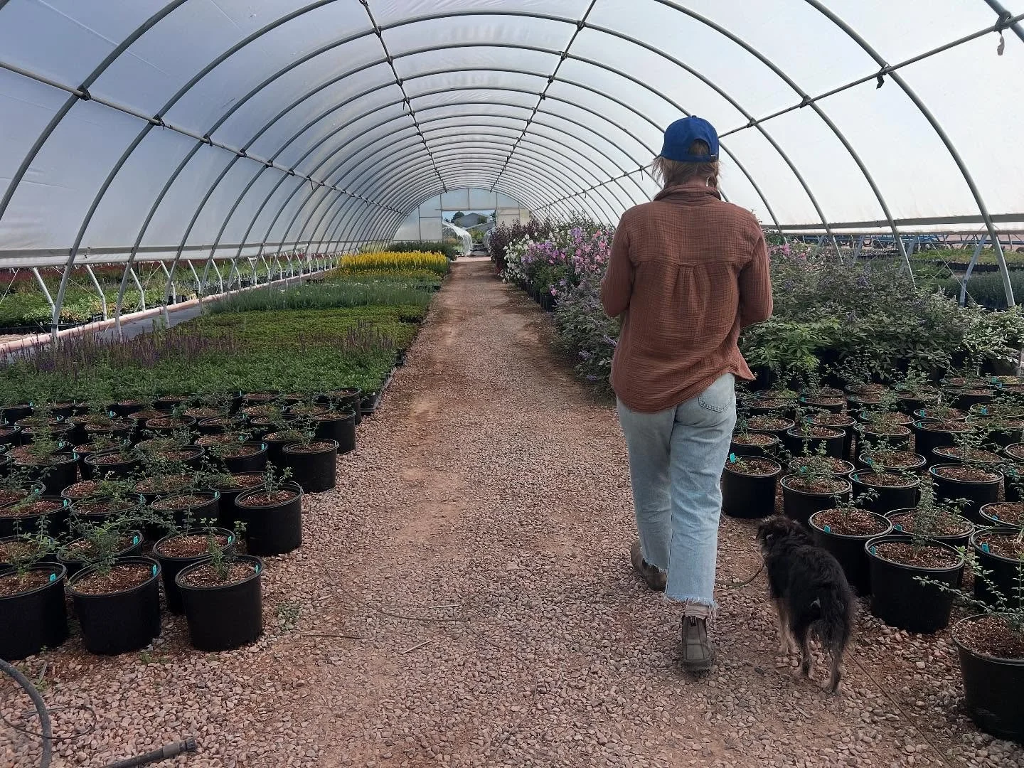 Not just people-people, but also tree-people🌳🌲🪾

Our Anthropop team had an incredibly informative tour of the @treesofcorrales nursery last Friday.  We took notes on what exciting new species to expect in the future and geeked out on the ethnograp