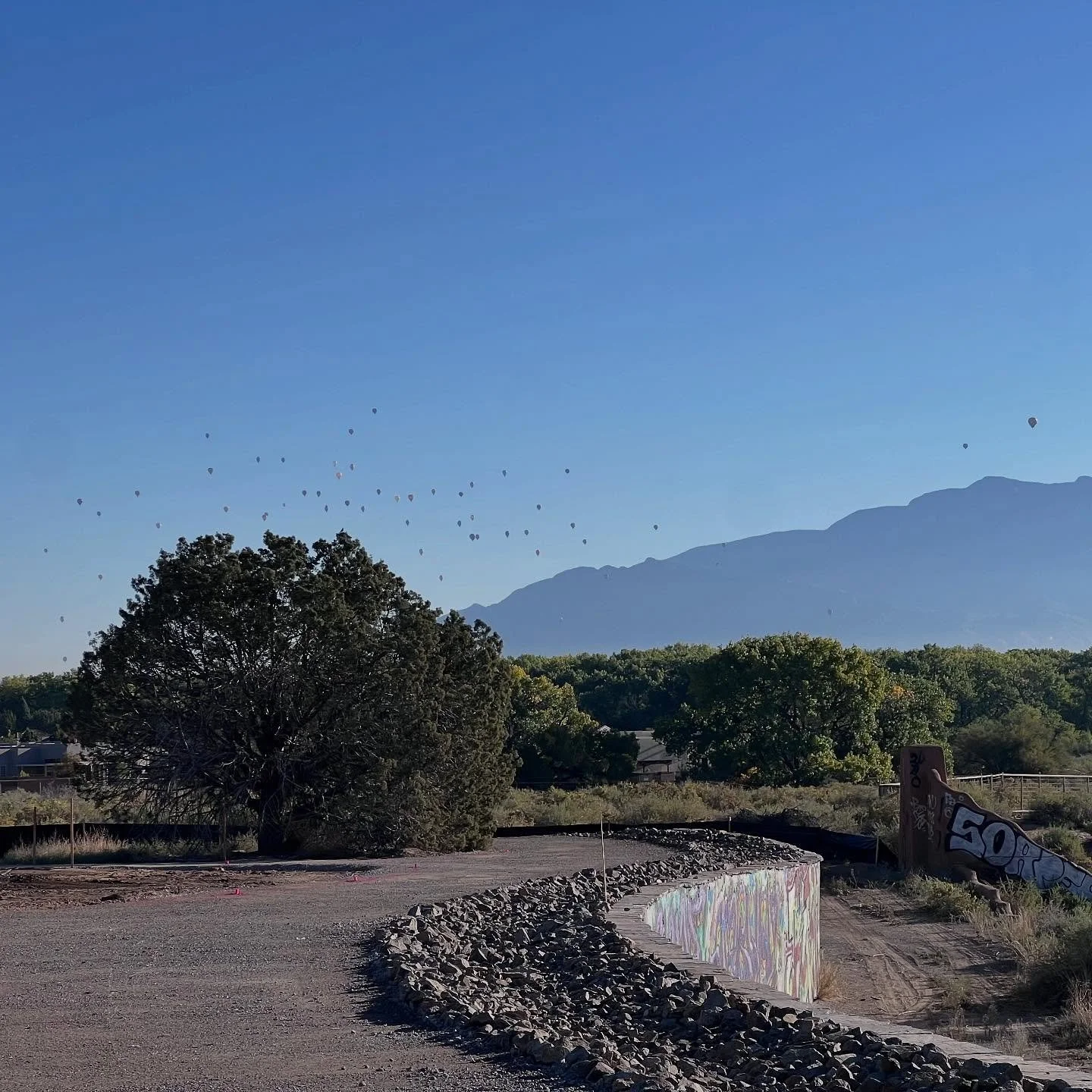 Happy Balloon Fiesta from San Antonio Oxbow Open Space!
