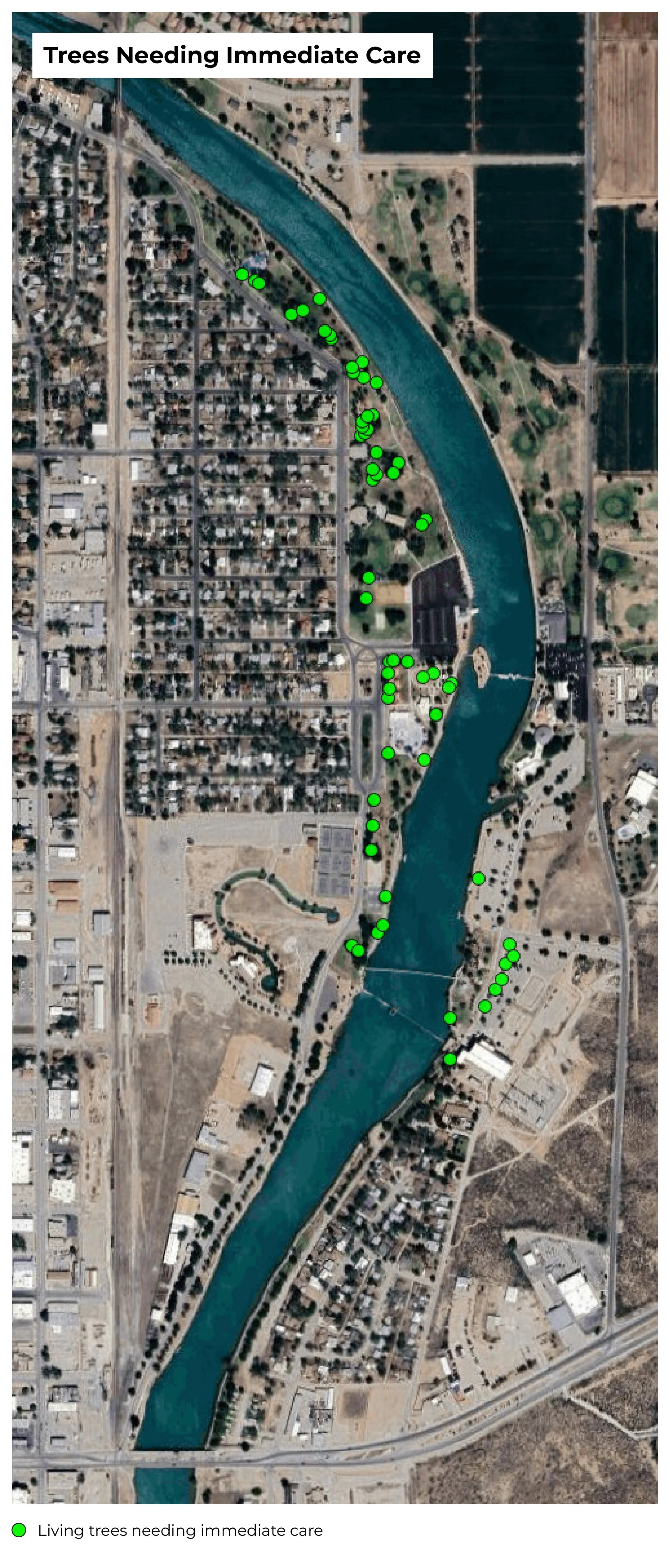 aerial map of trees needing immediate care