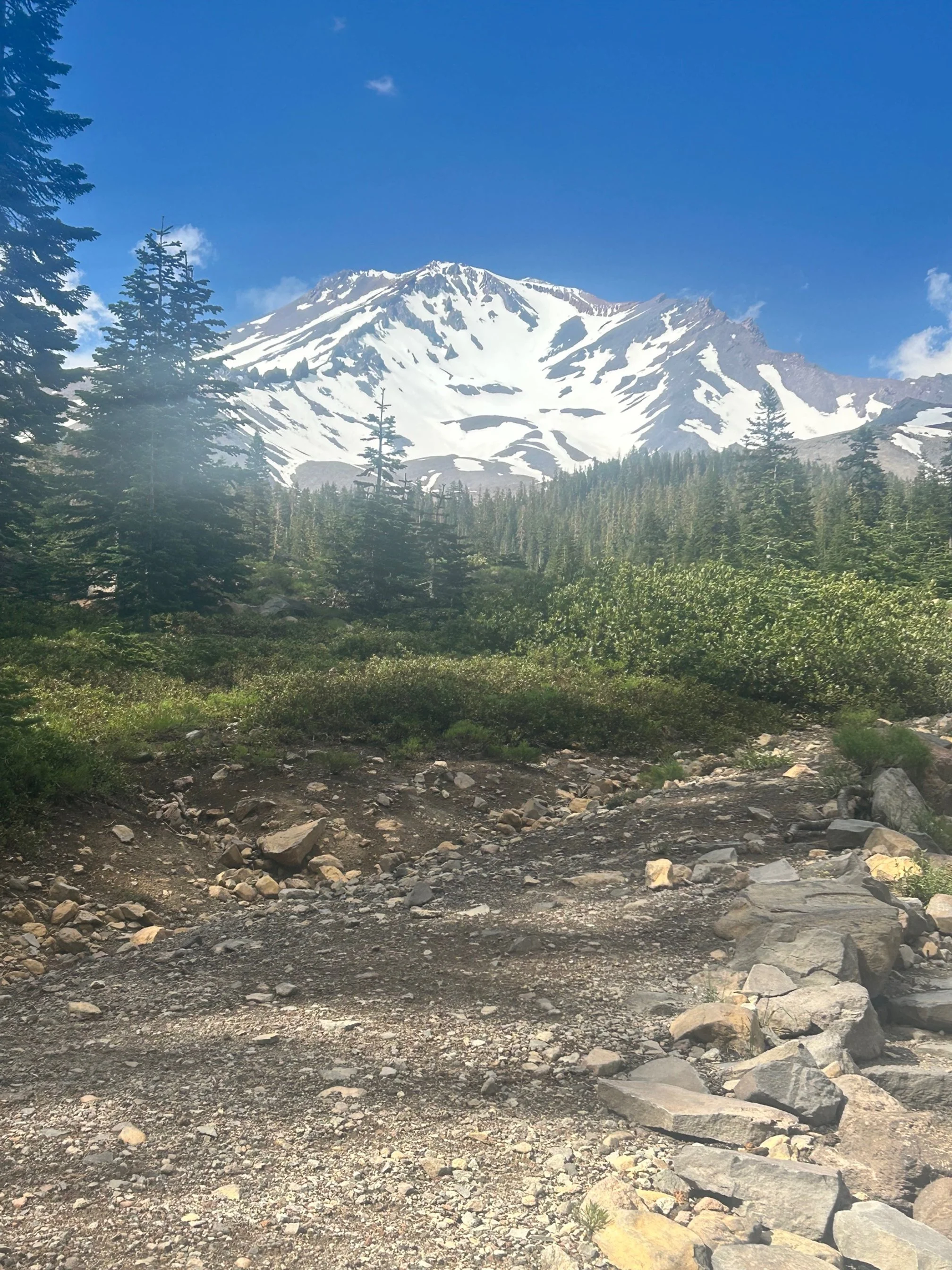 Mt Shasta.jpeg