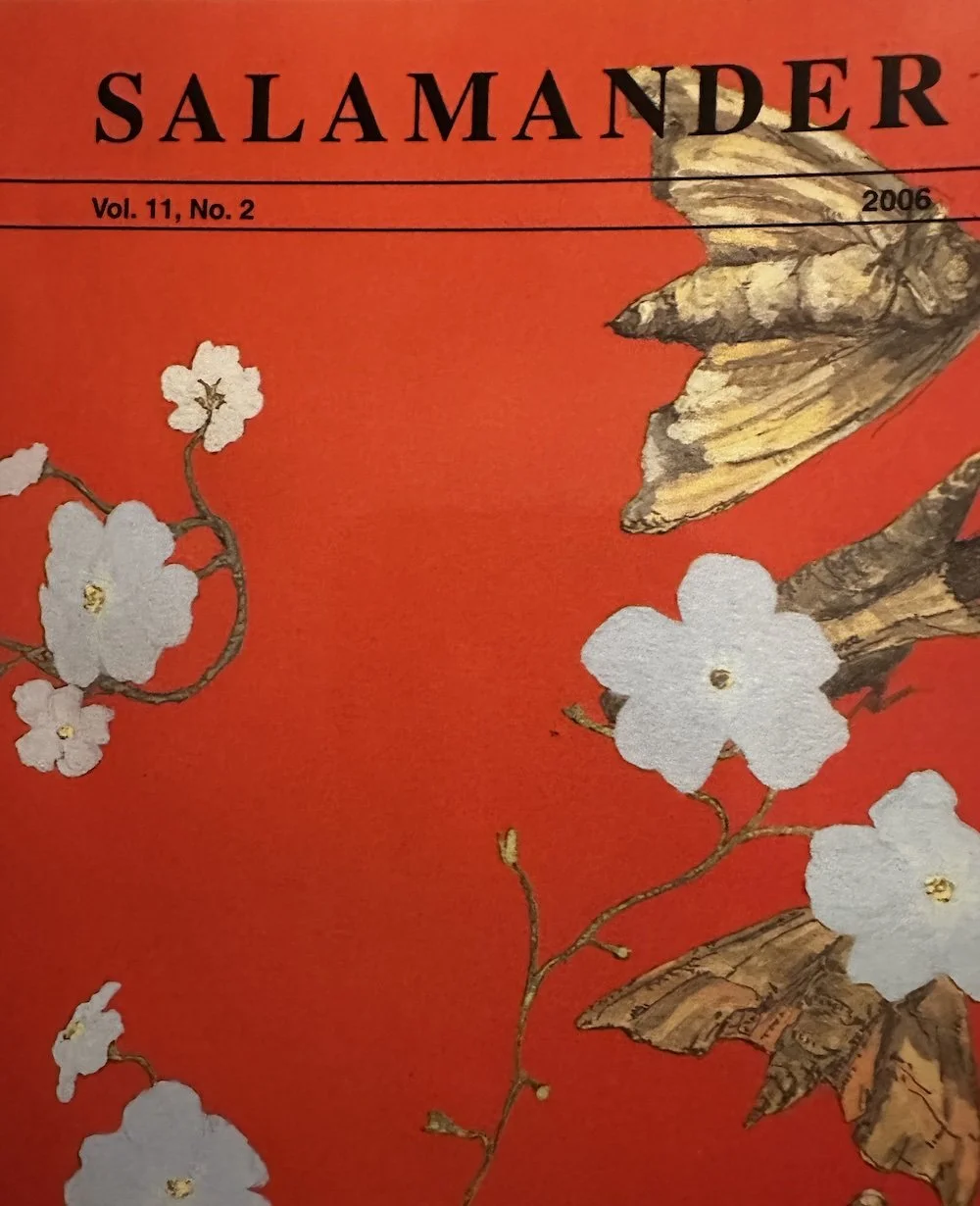 Salamander -- Healing.jpg