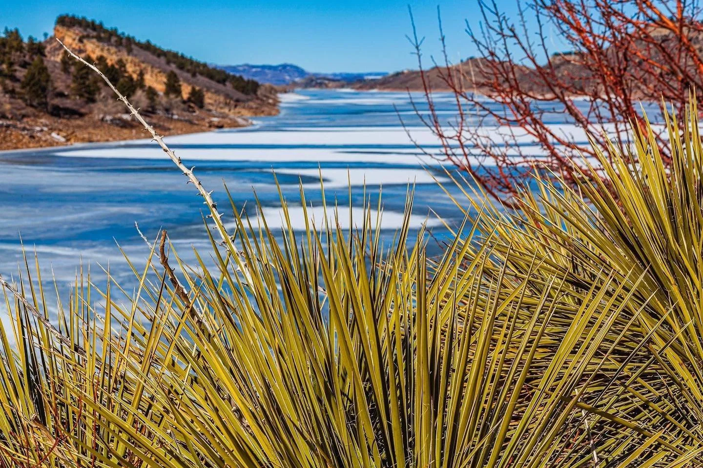Top 5 Portrait Photography Spots in Fort Collins, Colorado