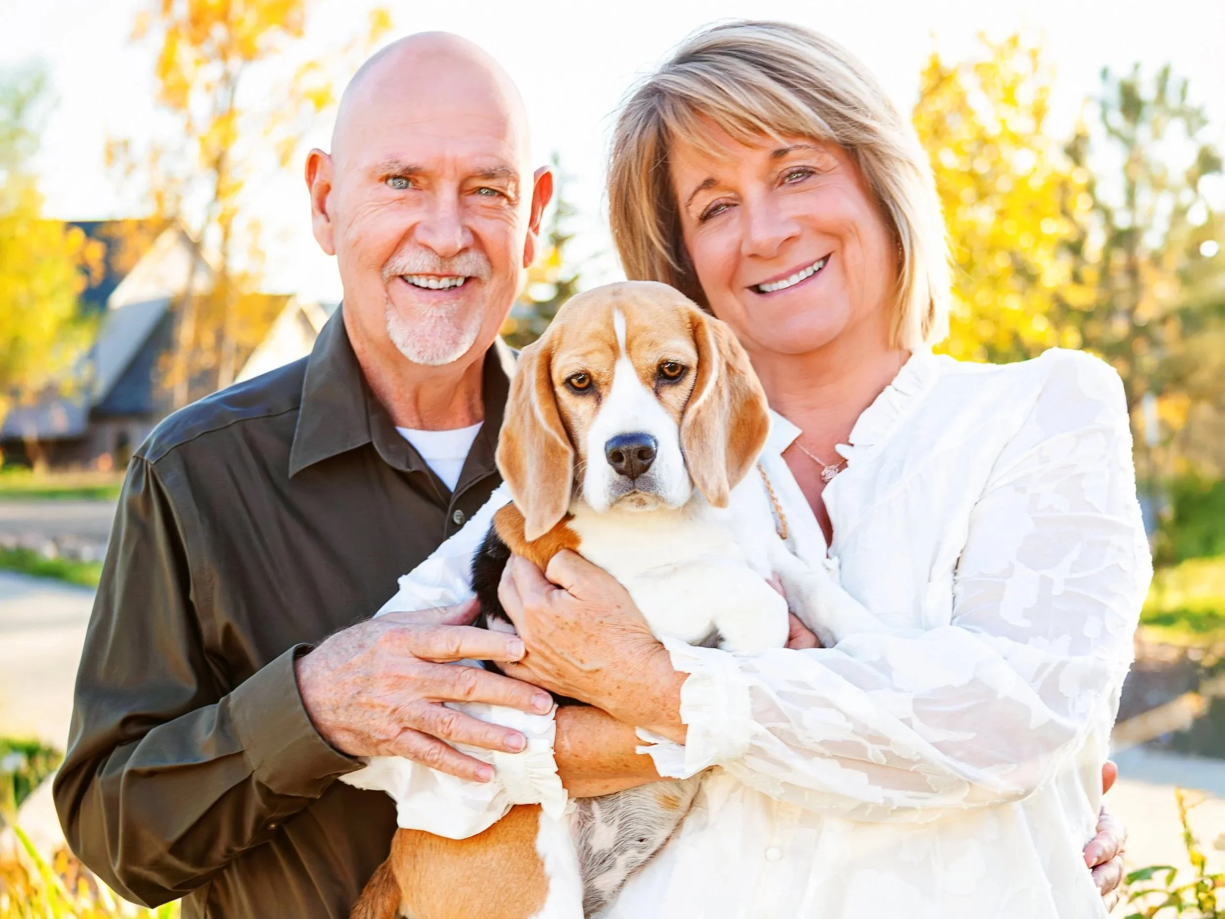 Older man and woman with a Beagle puppy outside in a park during autumn, smiling. Jeanette Fellows Photography www.fellows.photos