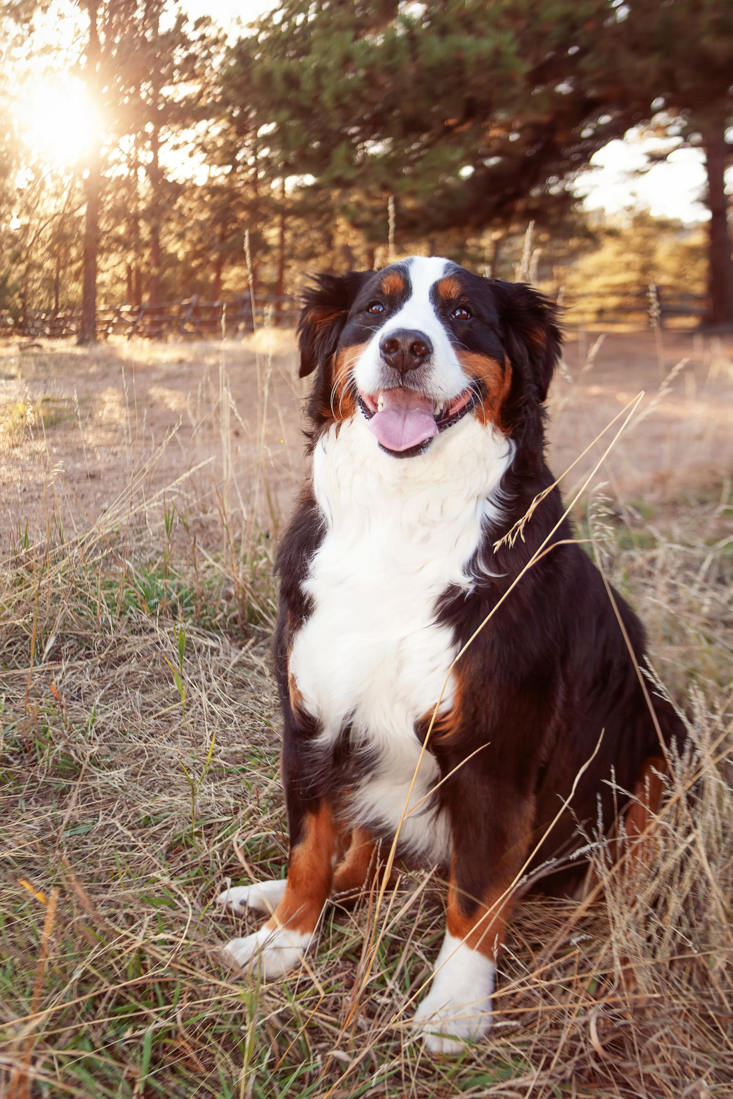 Rebecca, Mike and Murphy 10-18-25 10.jpg