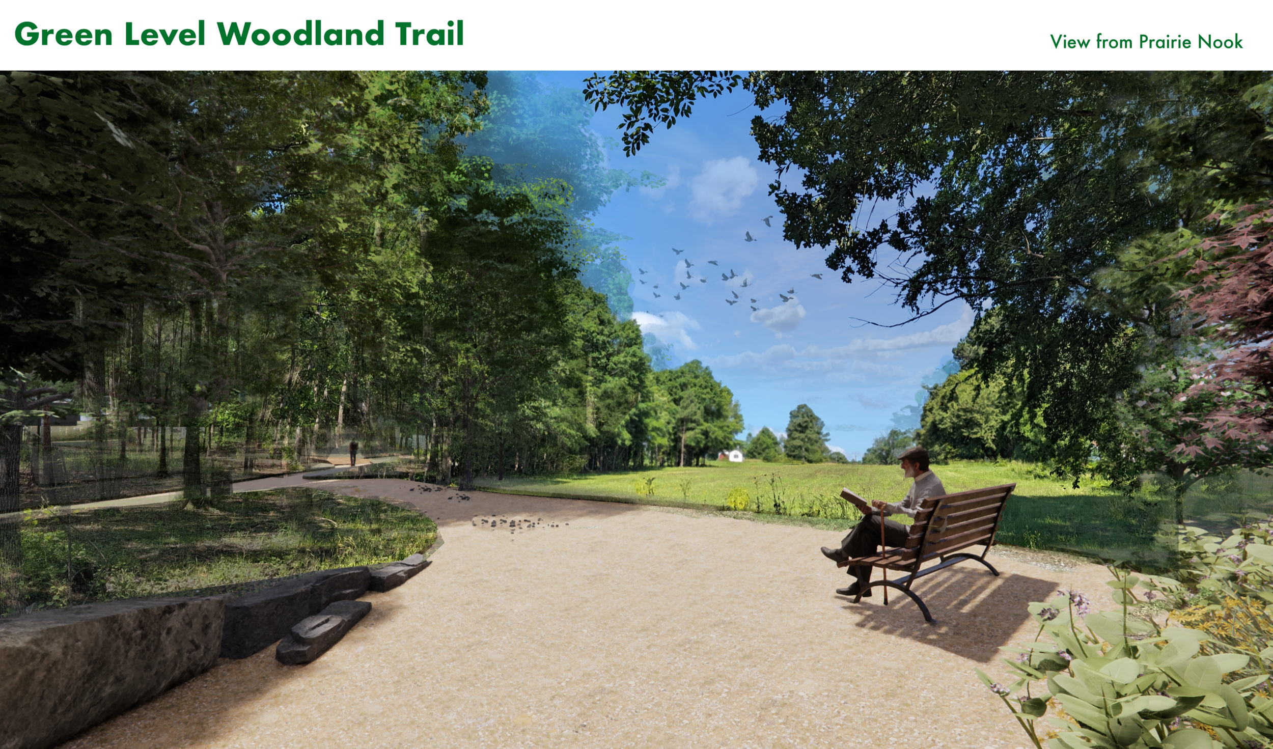 A person sitting on a park bench reading a book in a lush green park on a sunny day, with trees lining the path and a small open field in the distance.