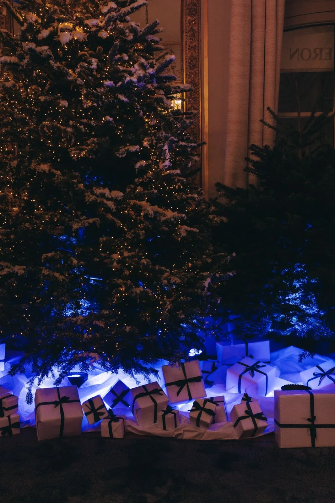 WhatsApp Image 2026-03-11 at 09.36.37.jpeg