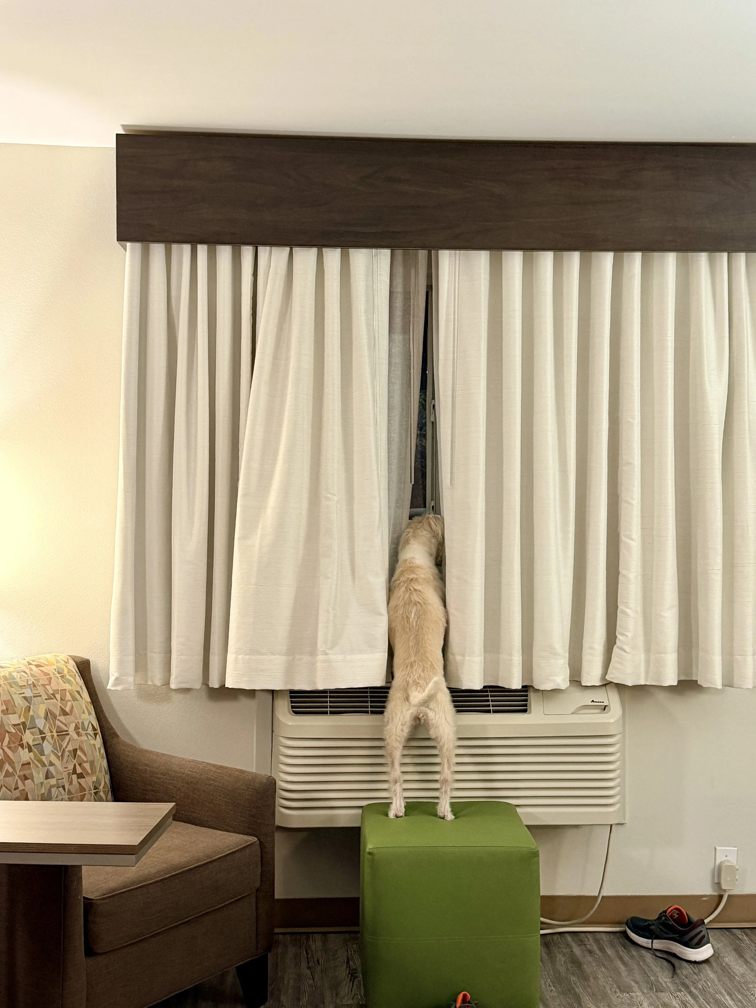 Maggie looking out of a hotel window