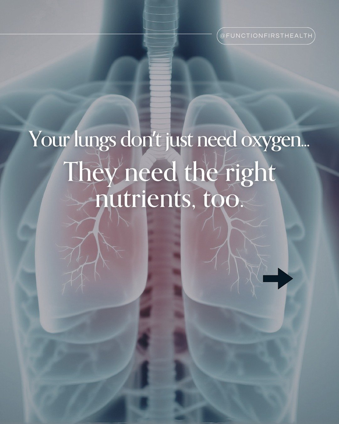 Swipe through the slides for key nutrients that help support lung health. 🫁

The lungs rely on a steady supply of nutrients that help regulate inflammation, support immune defenses, and protect delicate lung tissue from oxidative stress.

Nutrients 
