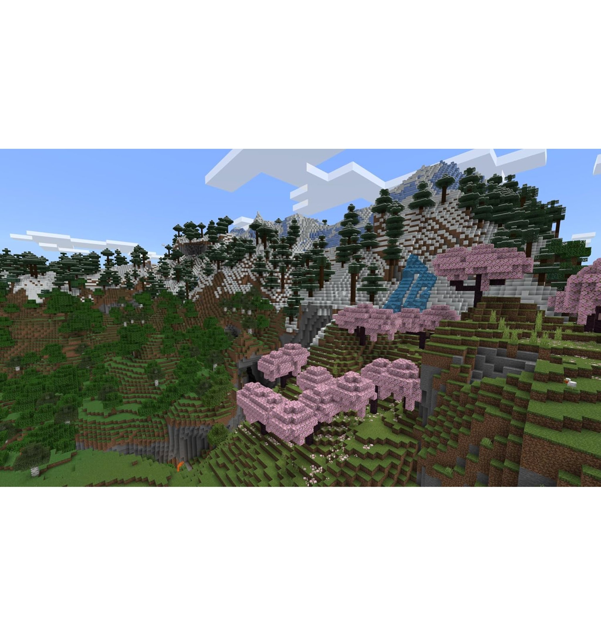 IMG_2573.jpeg