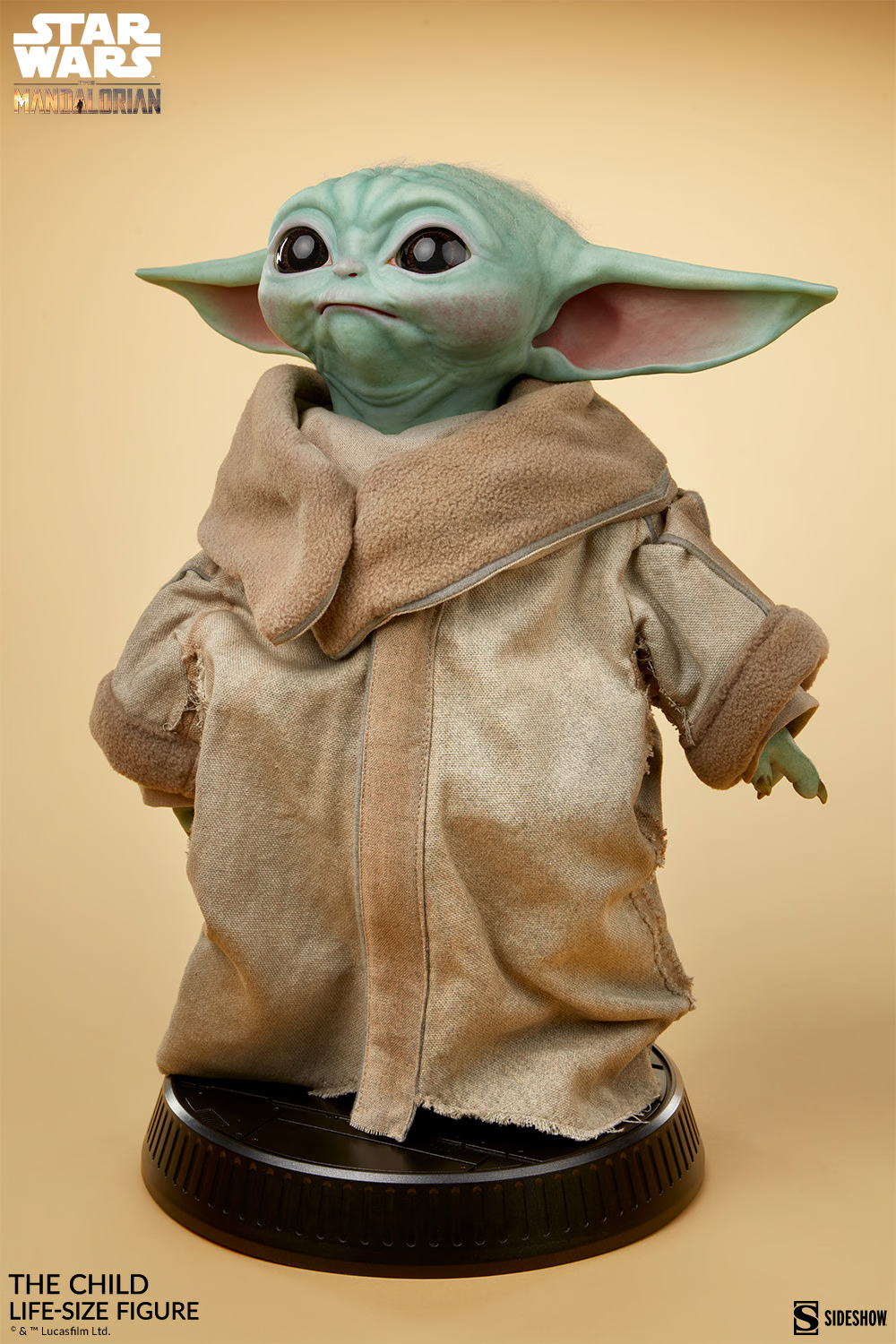 IMG_7366.png