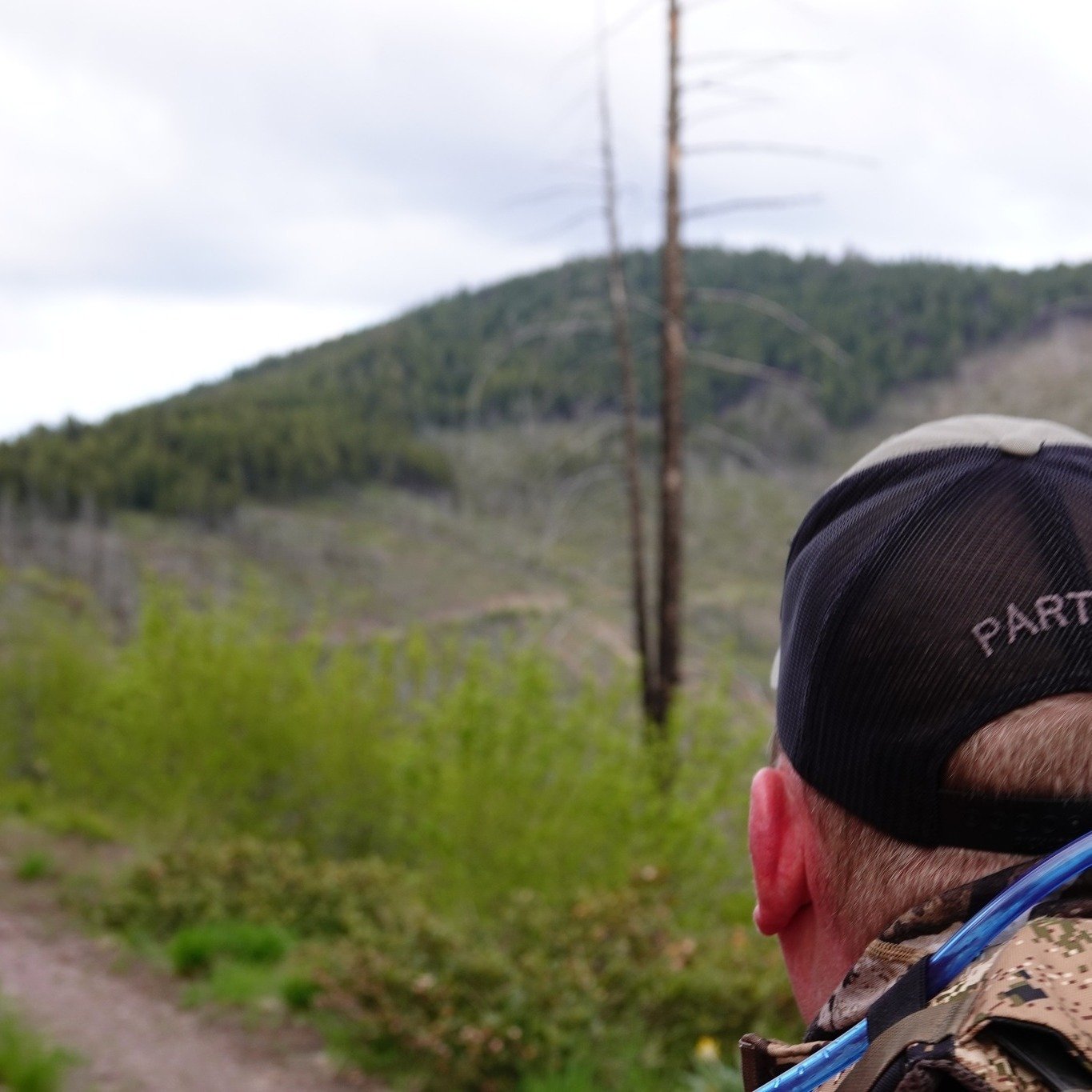 Secretarial Order 3447:

The Department of Interior just released secretarial order 3447 to increase opportunity for hunters on publicly managed lands. The order directs the Federal land agencies within the Department to improve access and opportunit