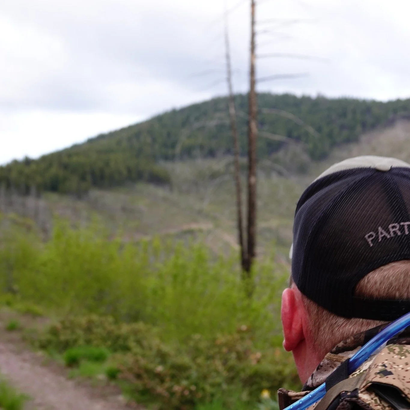 Secretarial Order 3447:

The Department of Interior just released secretarial order 3447 to increase opportunity for hunters on publicly managed lands. The order directs the Federal land agencies within the Department to improve access and opportunit