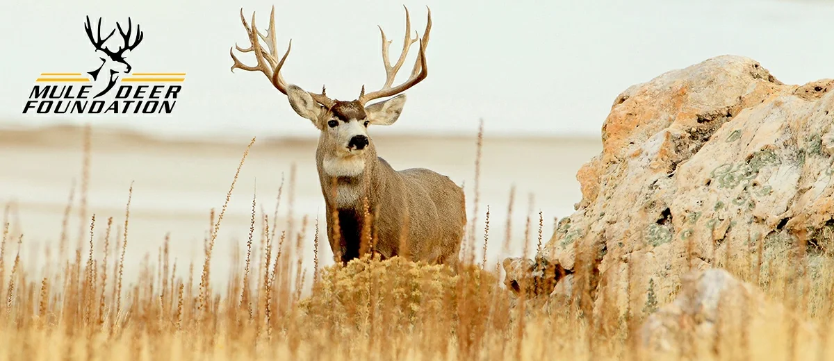 Mule Deer Foundation, Ep. 25