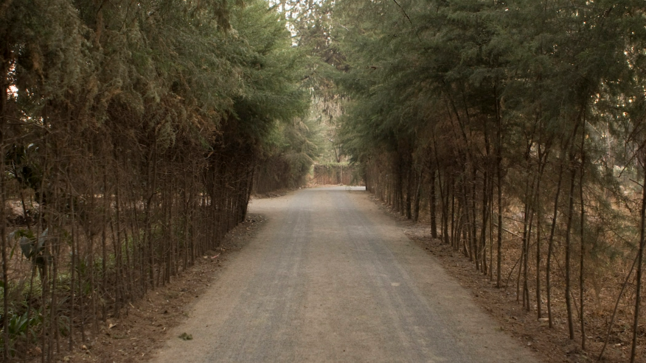 Caring Beyond the Cure: The Heart of Medical Mission