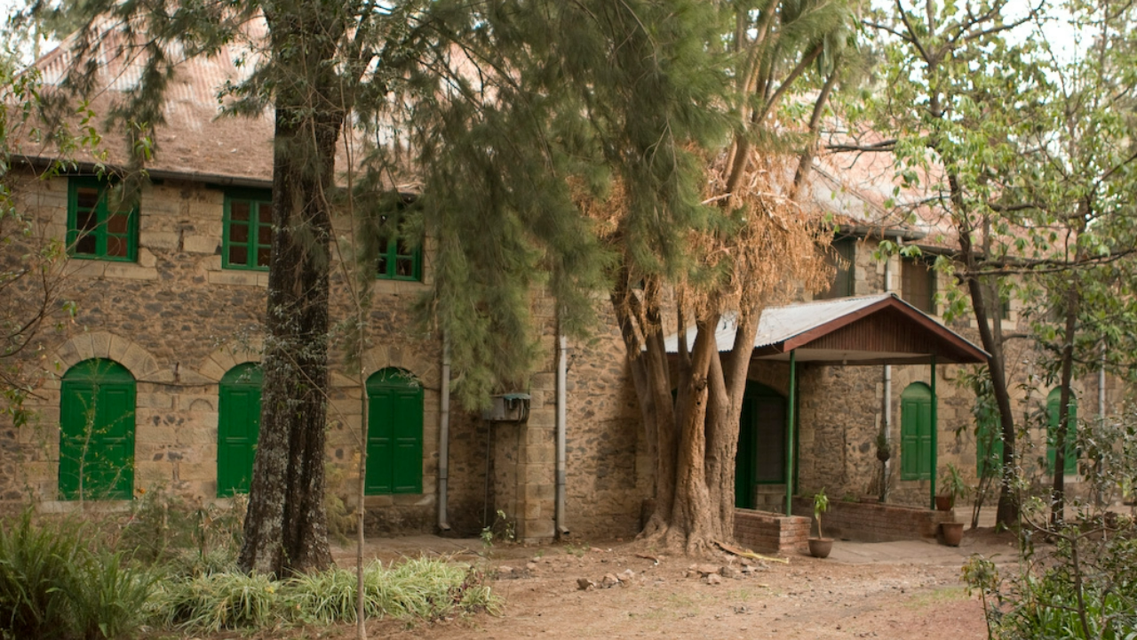 When Compassion Needs Direction