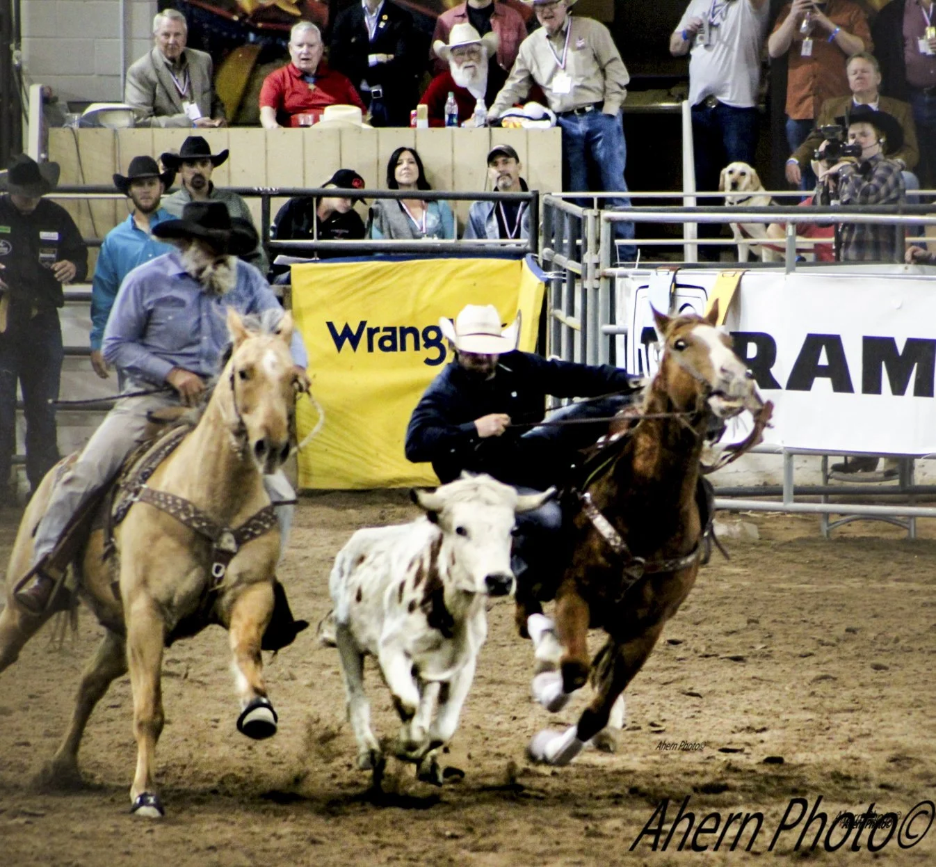 Cowboys & Watermark copy.jpg
