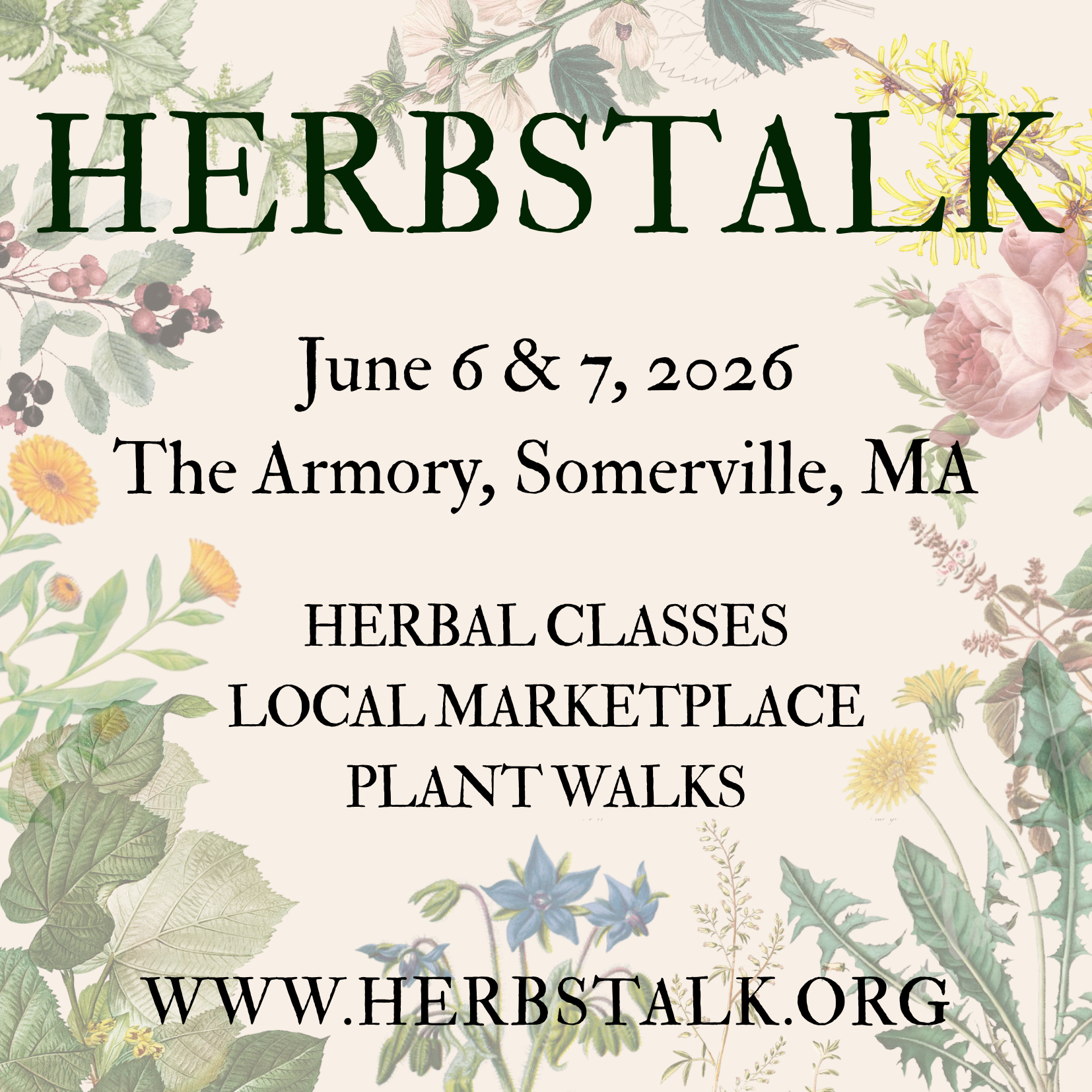 Rest Circle: Empowering Change Makers & Activists