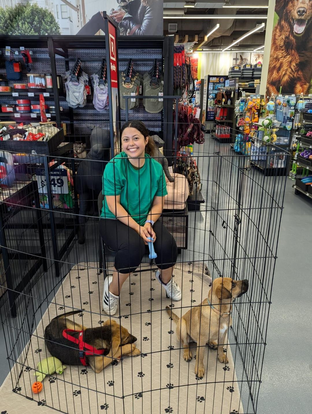 Volunteer in cage.jpg