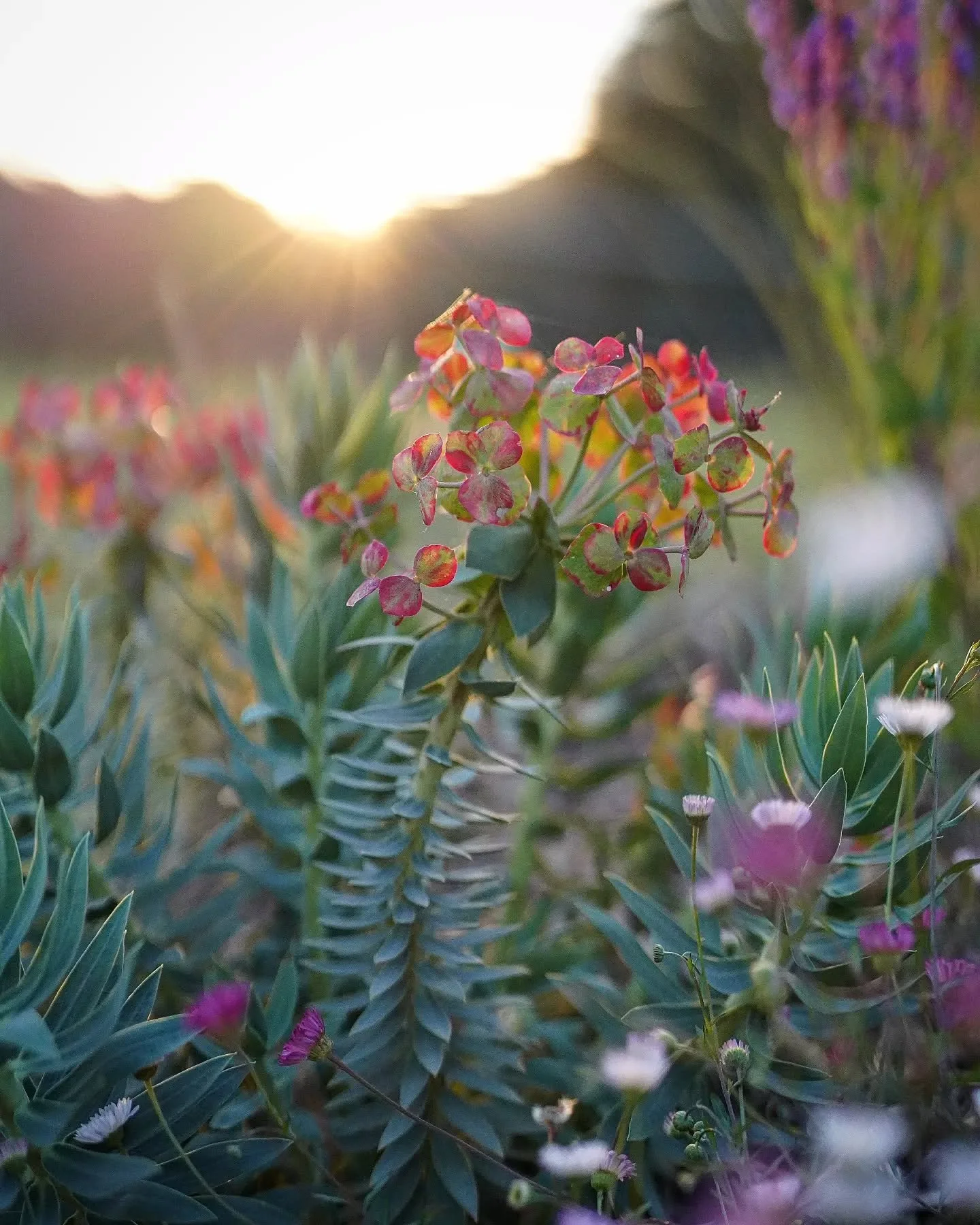 Coming soon - 2027 Calendar