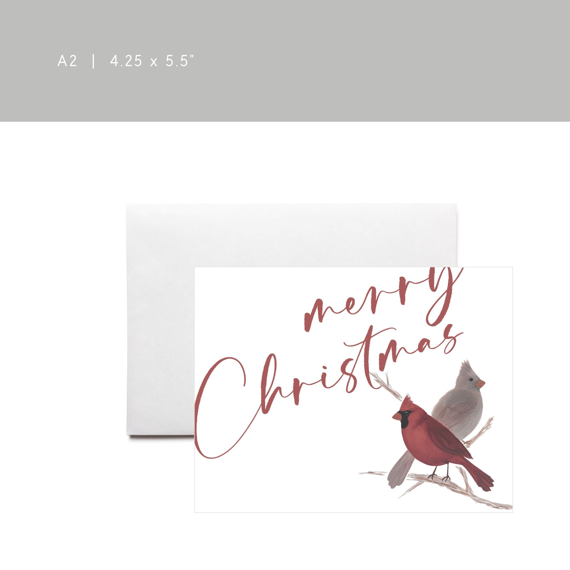 merry Christmas cardinal birds_hau fine art.jpg