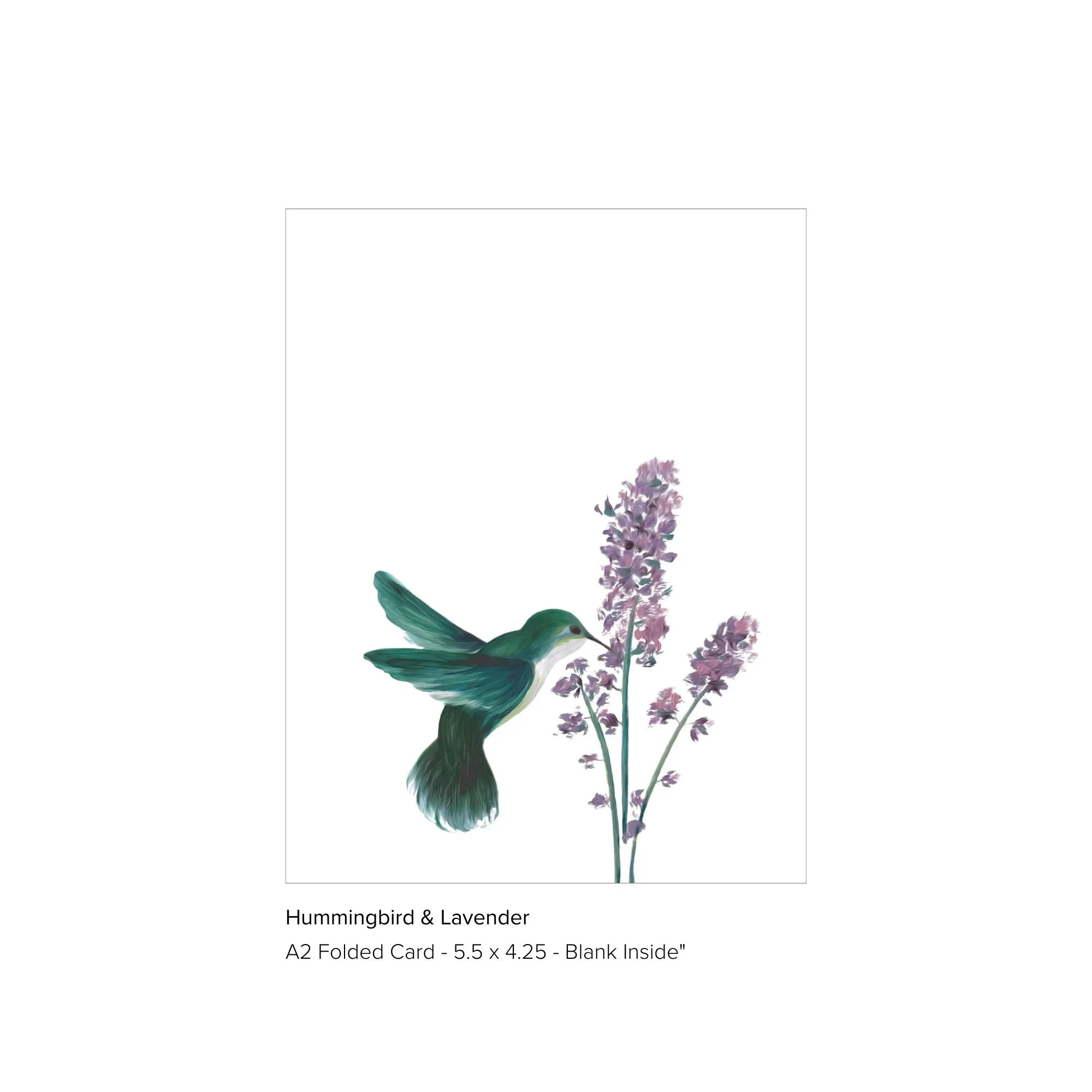 Hummingbird Greeting Card.jpg