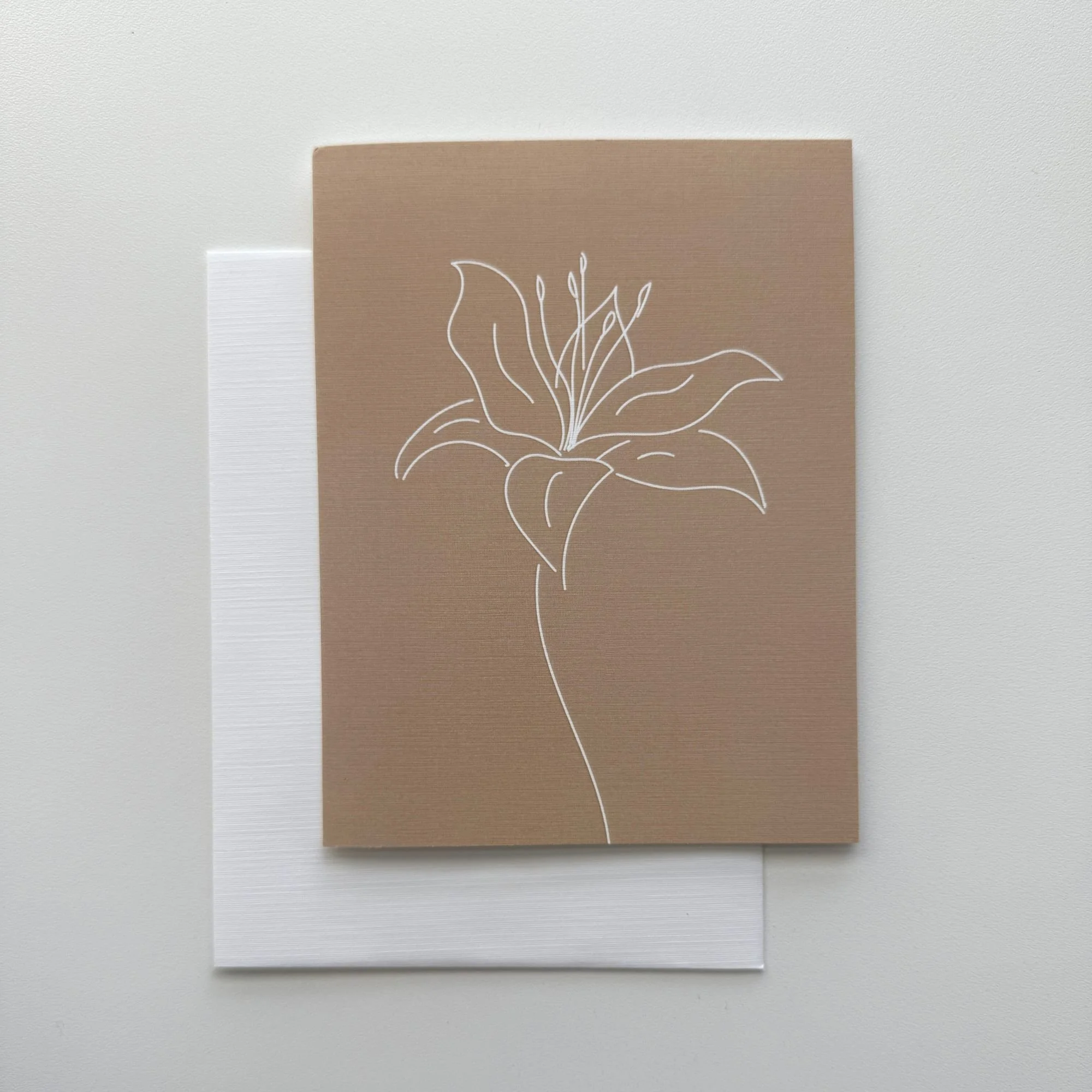 Lily Line Art_tan_blank card_hau fine art.jpg