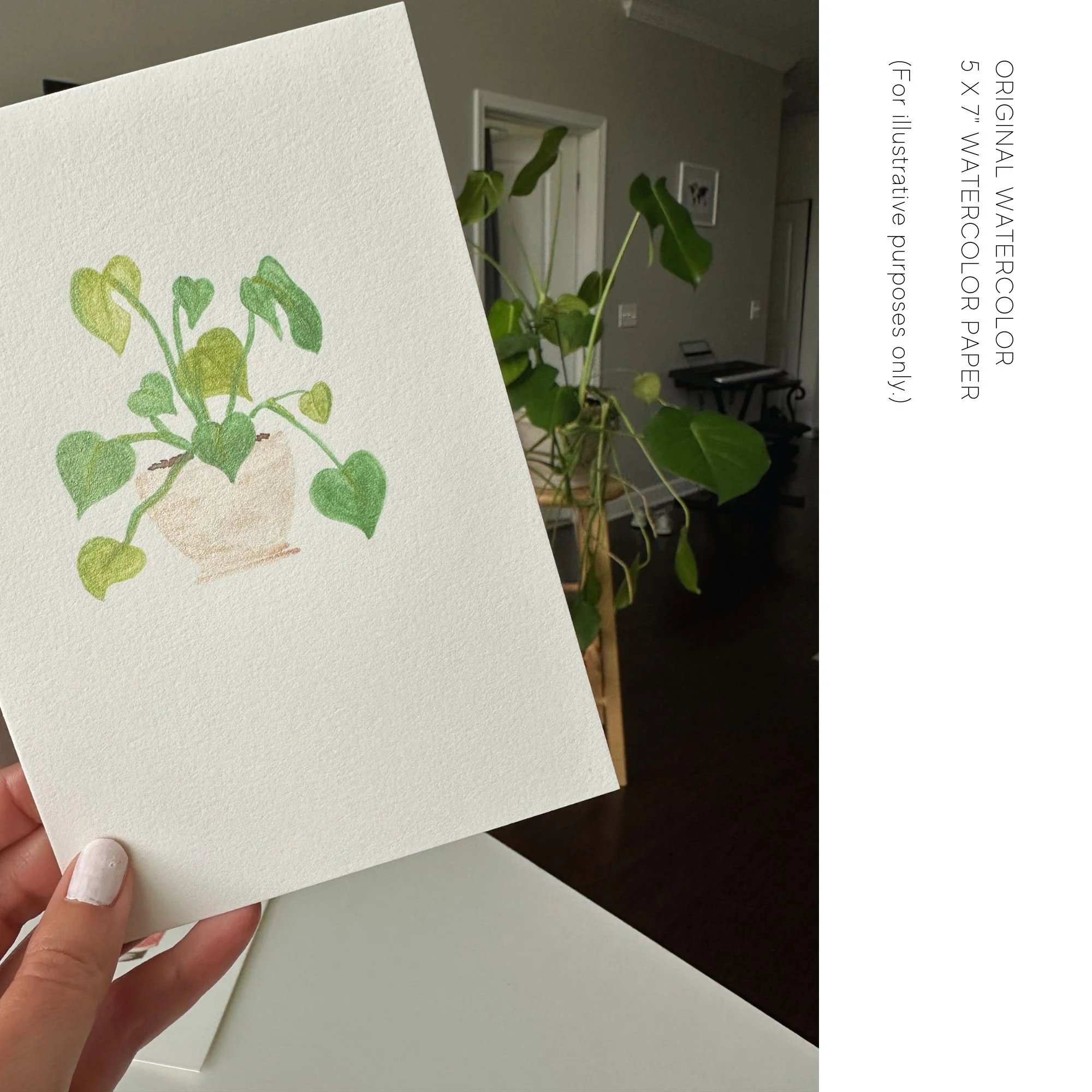 monstera original watercolor_ a note to say hi_hau fine art.jpg